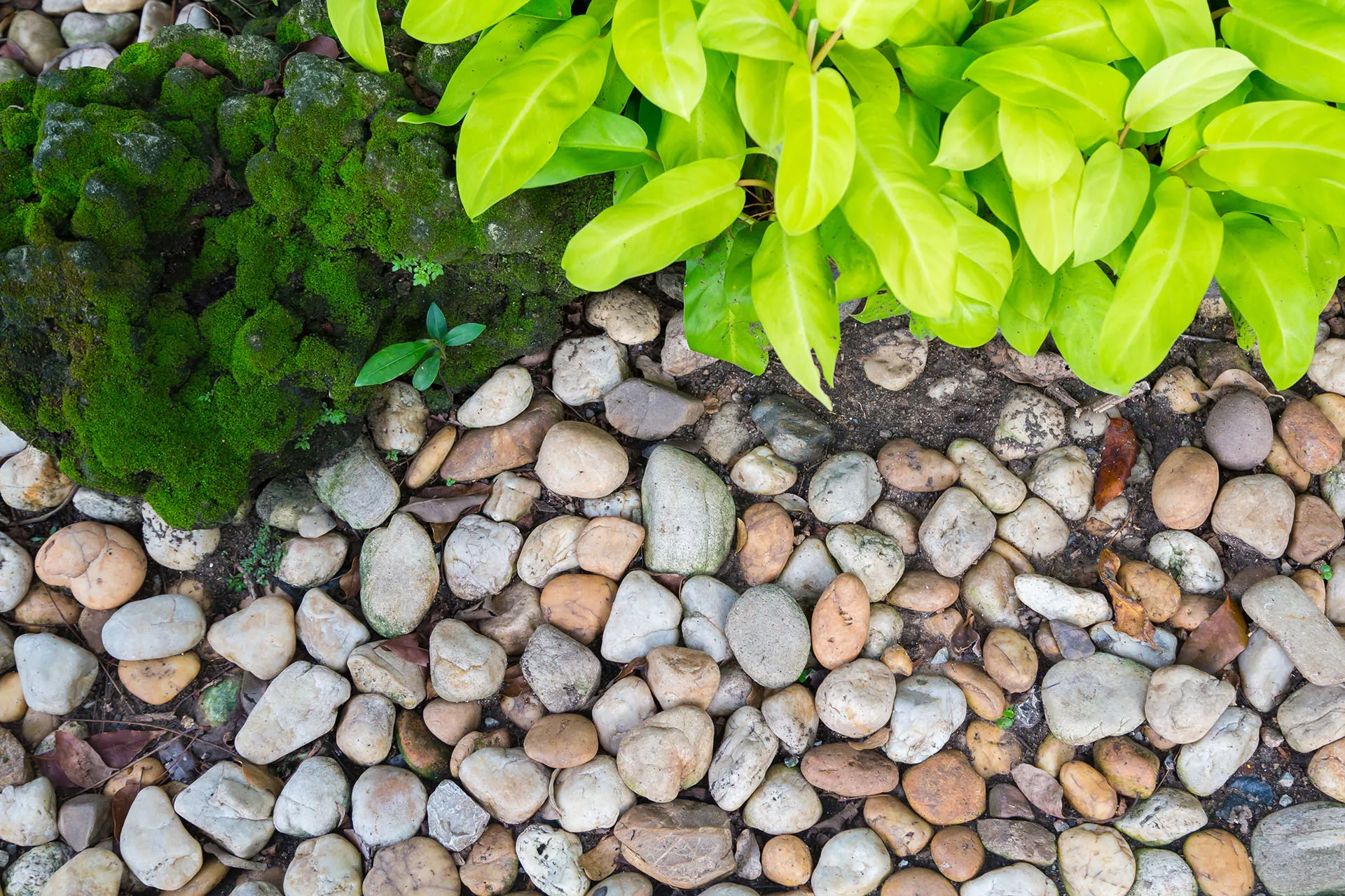 Eco-friendly cement production with sustainable practices