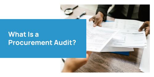 Program Audit Purchasing Dryden