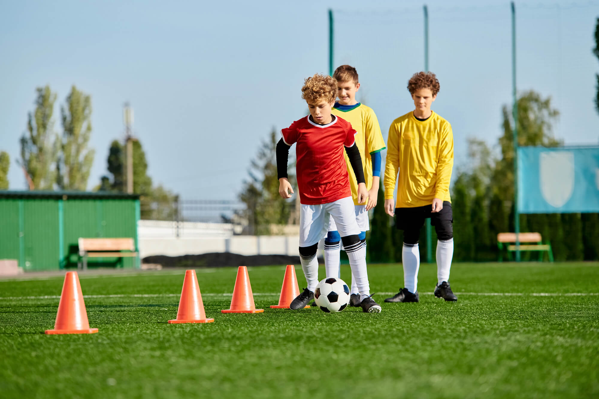 Artificial Turf in West Palm Beach vs. Sports Turf