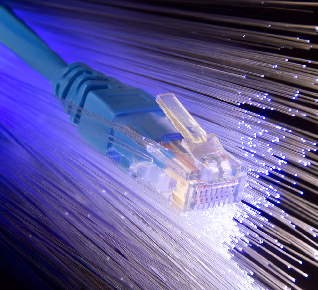 Gros plan d'un connecteur de câble Ethernet avec des fibres optiques lumineuses, illustrant la connectivité numérique et l'Internet haut débit.