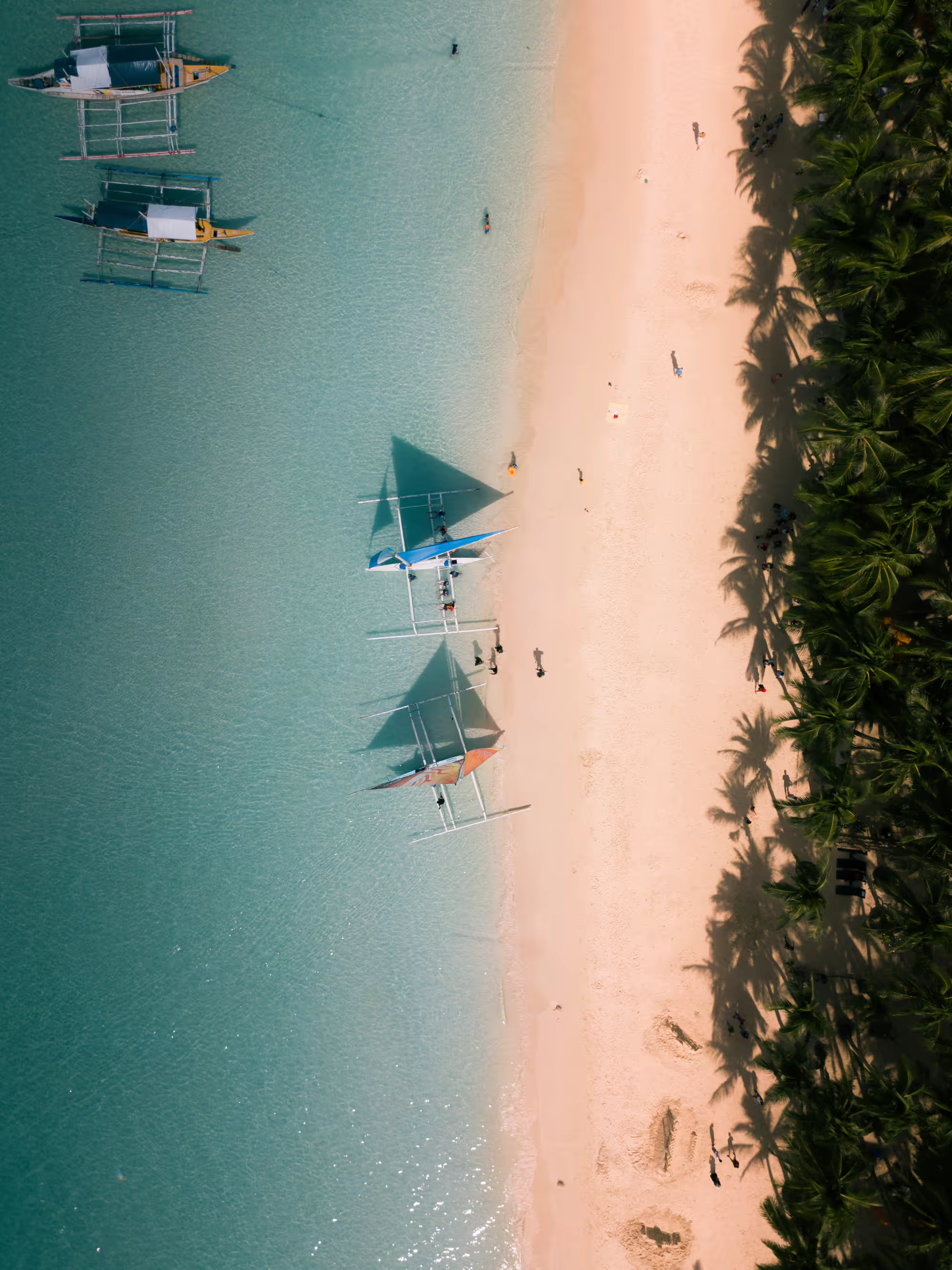 Aerial view of a Zanzibar beach with traditional outrigger boats in turquoise shallows and palm forest along the shore