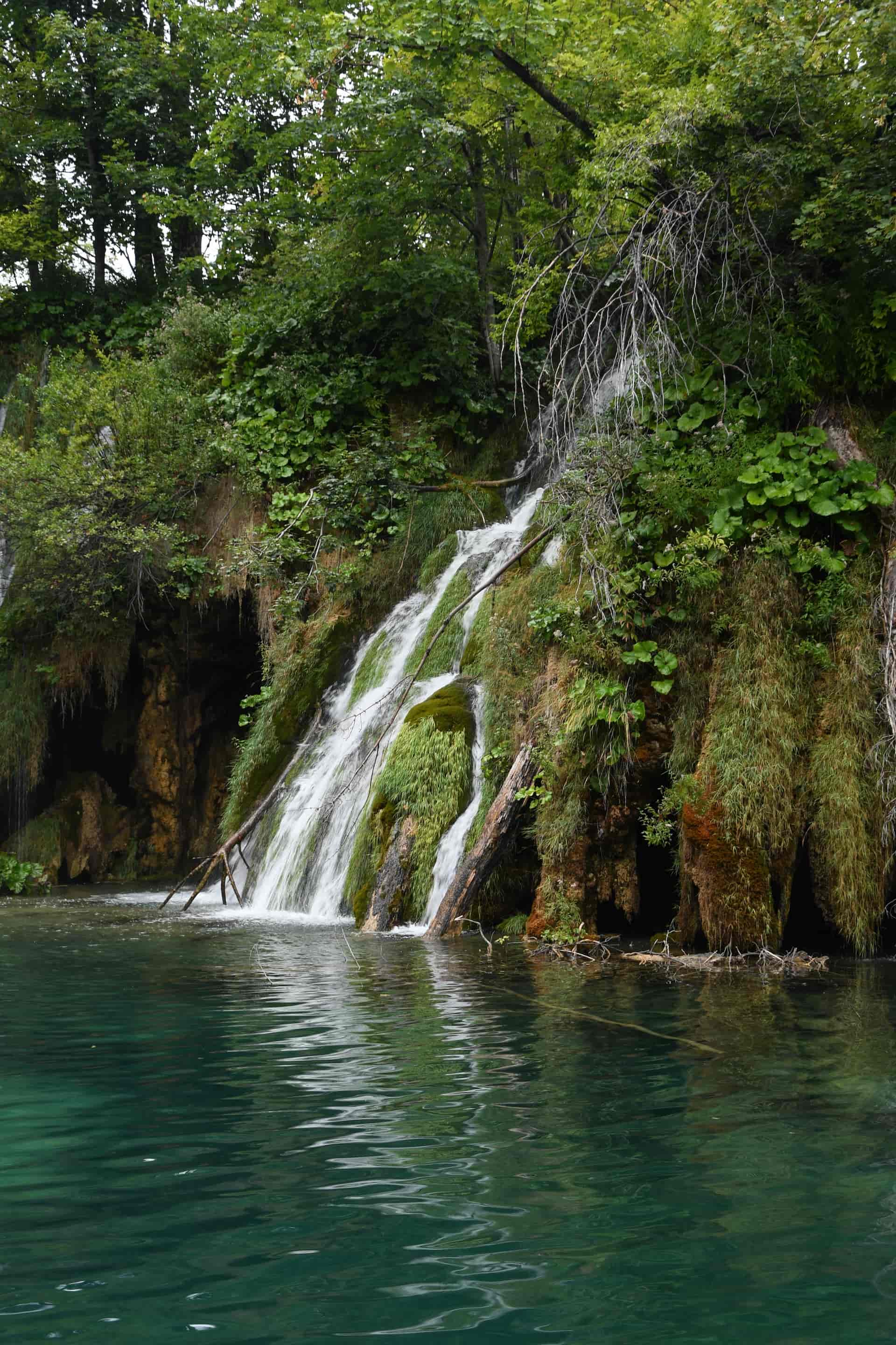Visit national park