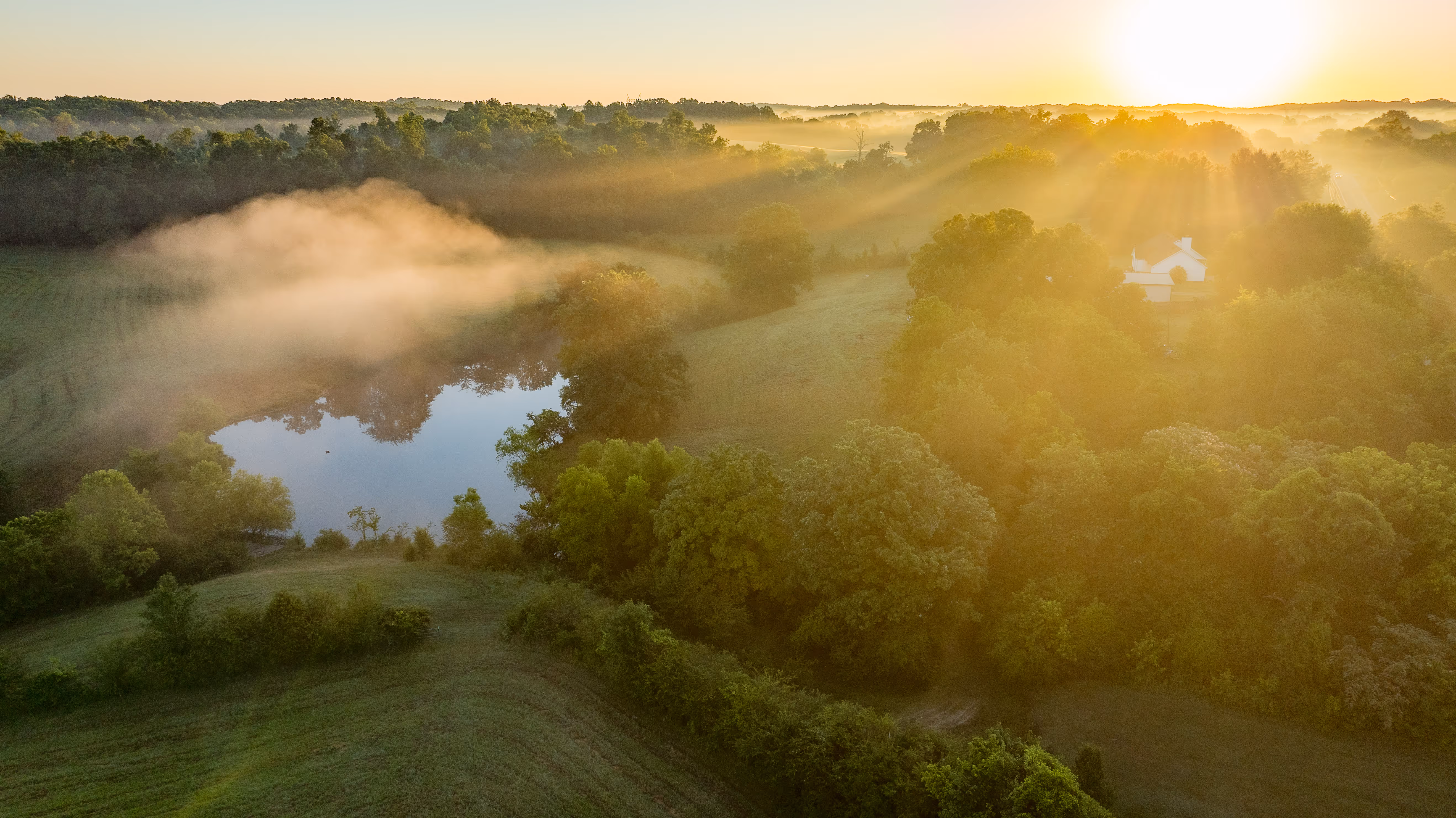 Sunrise on the horizon of this 90 acre farm in Dickson. TN.