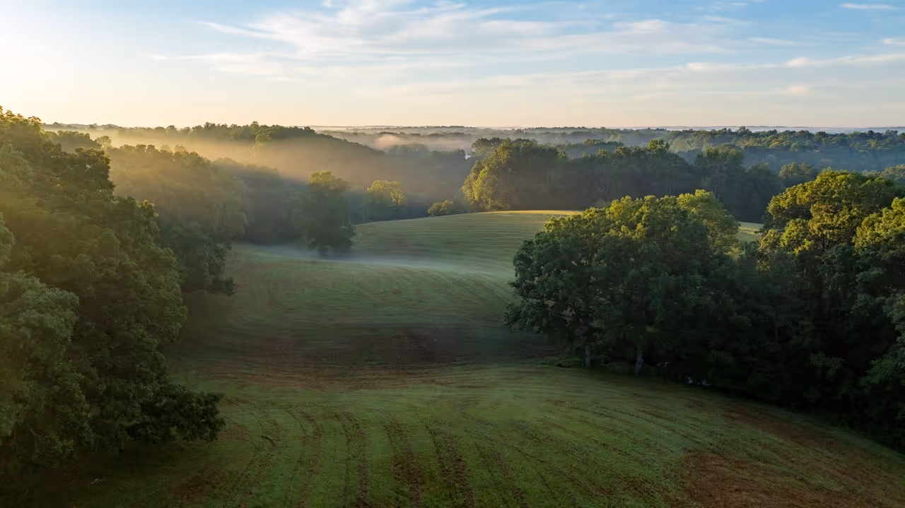 Rolling hills on this 90 acre farm in Dickson, TN.