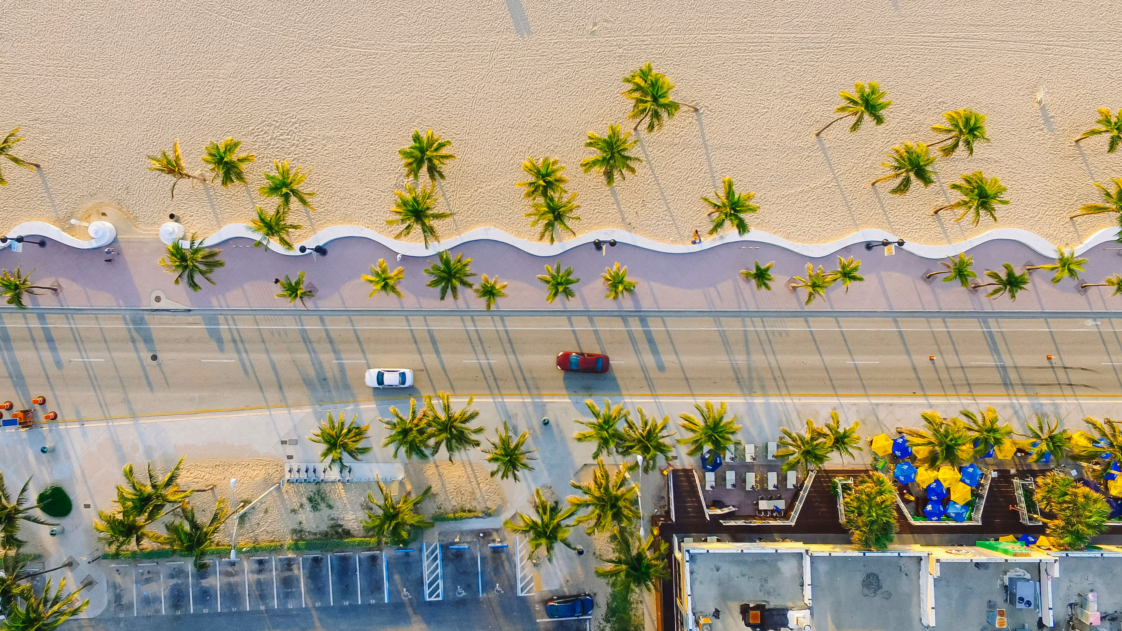 Fort Lauderdale Beach Arial Photo with Palm Trees