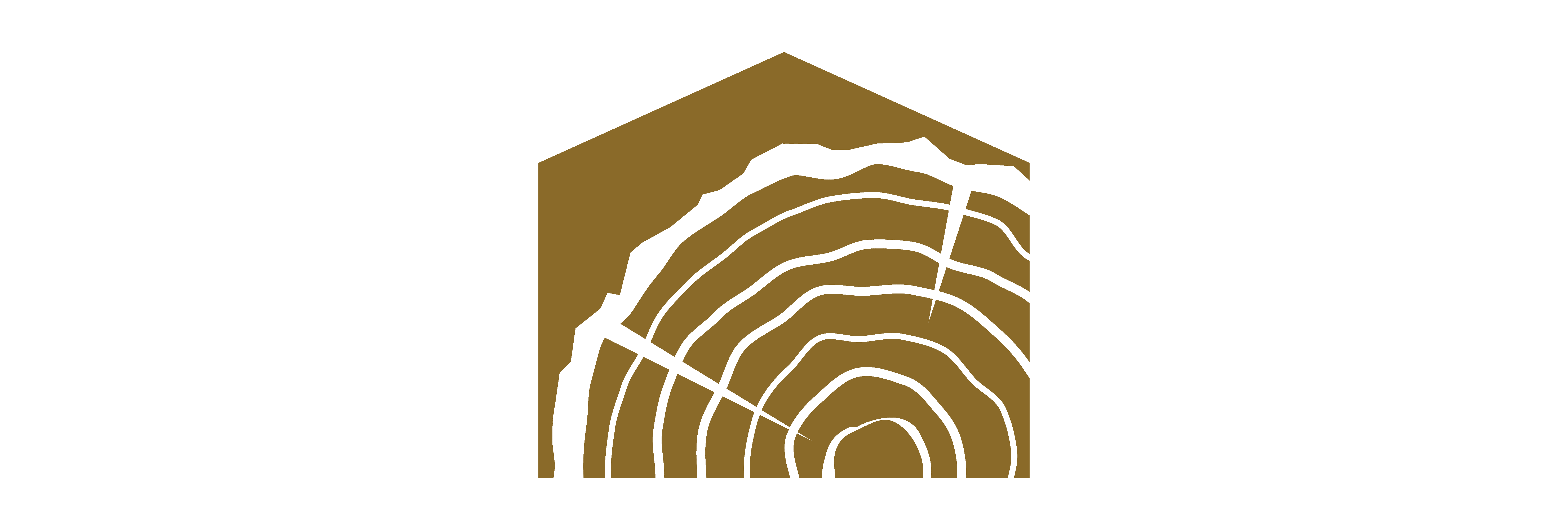 BCH logo 