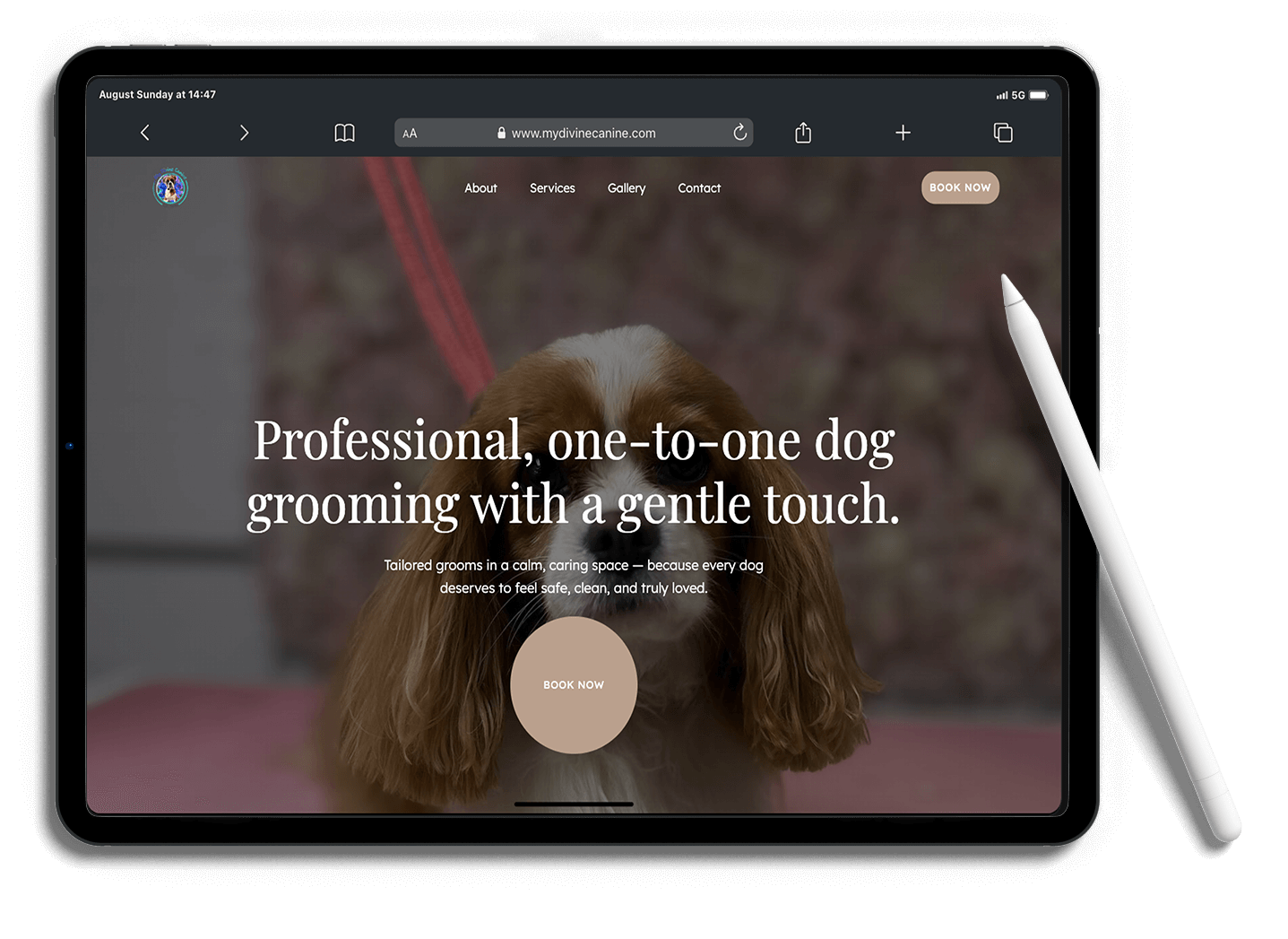 Mockup of the website of My Divine Canine