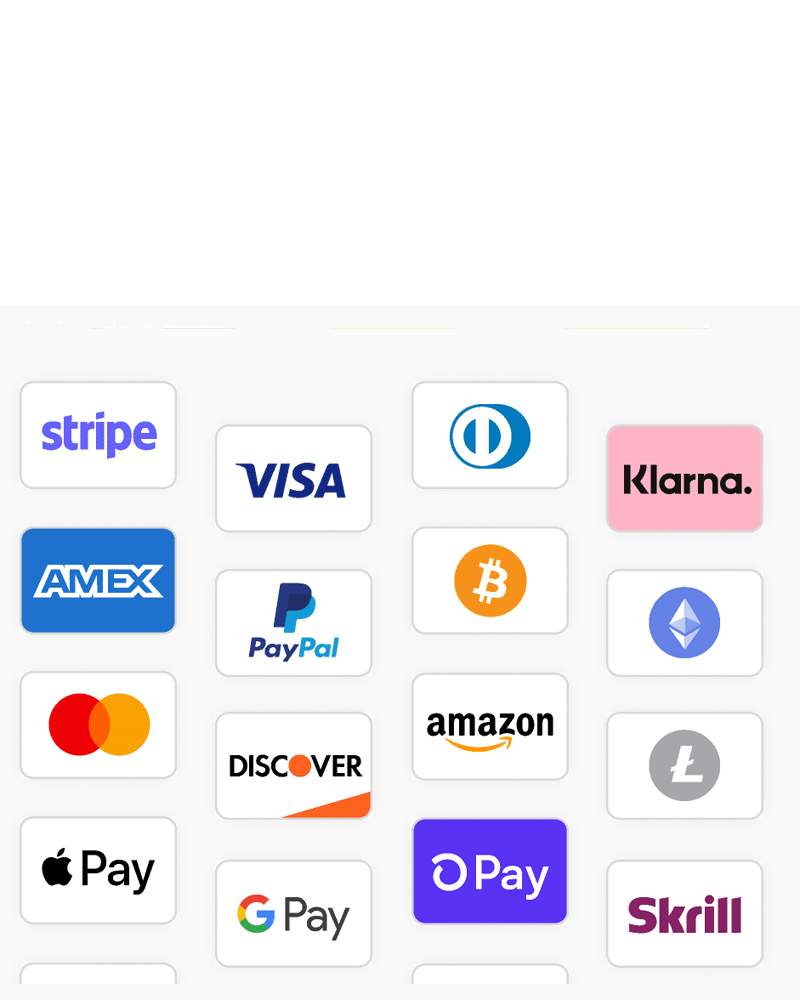 Online shop product grid and checkout screen mockup — e-commerce website solutions.