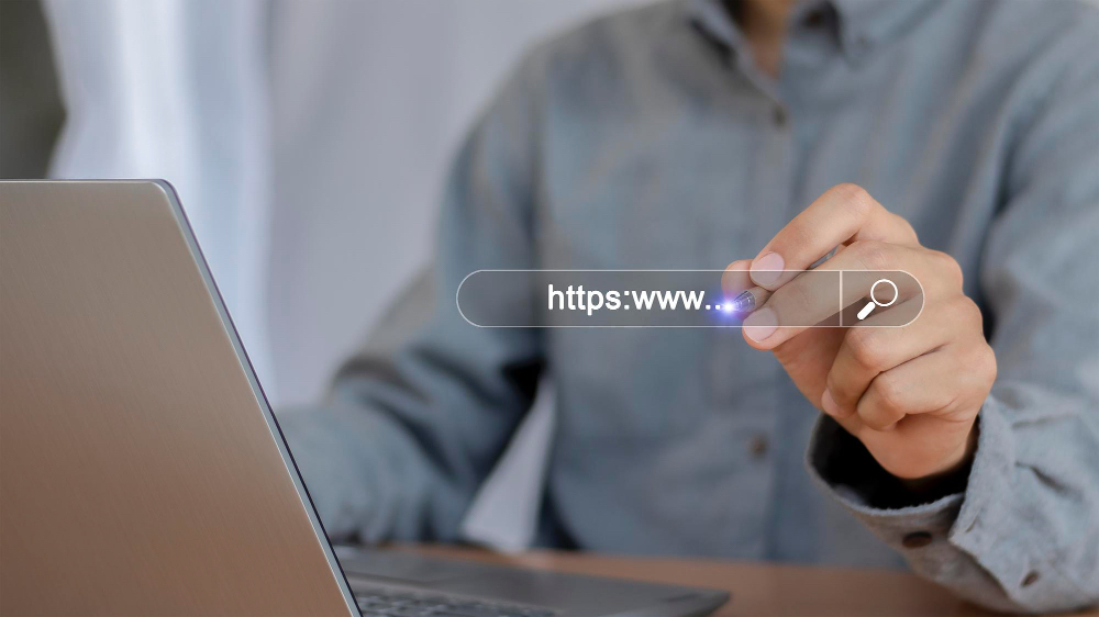 Domain name registration screen with verified tick — domain setup service.
