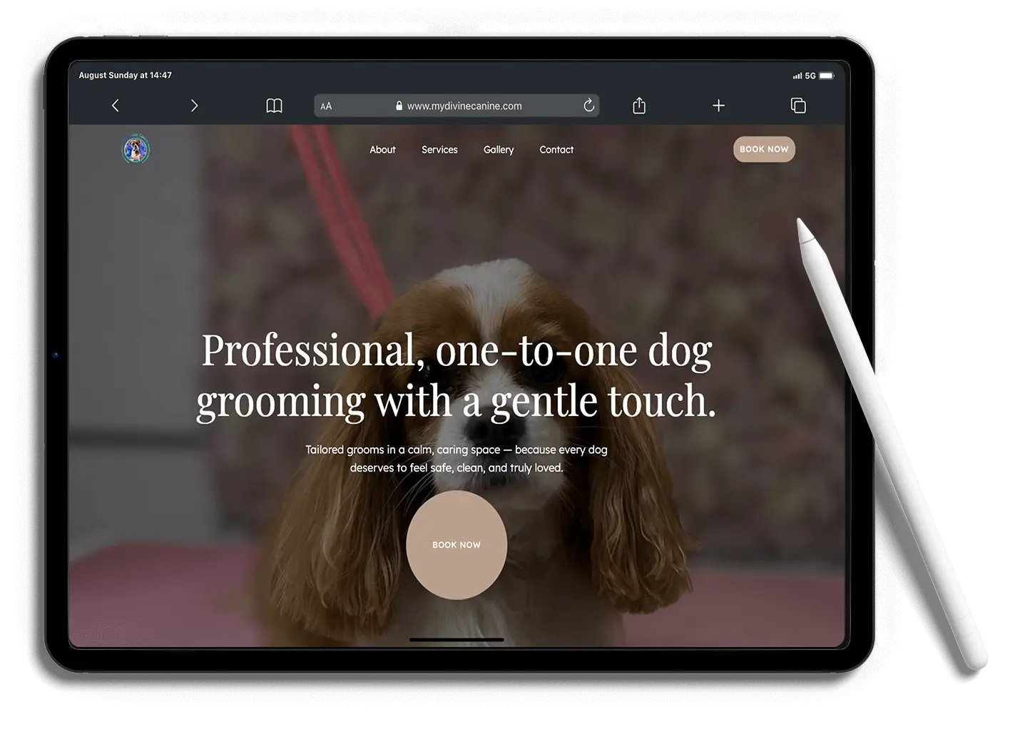 Mockup of My Divine Canine website homepage designed by D-S-Design