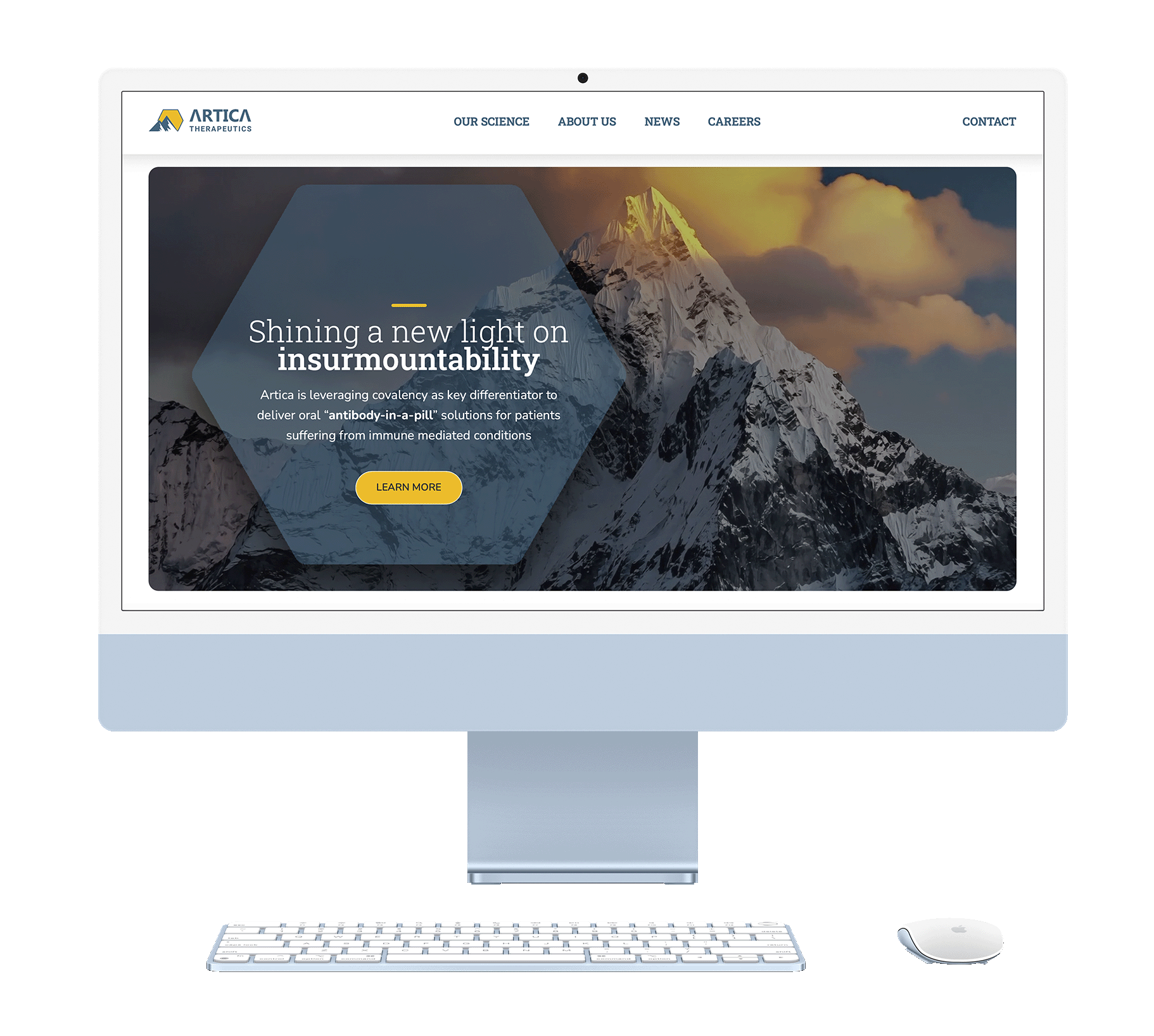 Mockups of the Artica Therapeutics website updates and refinements.