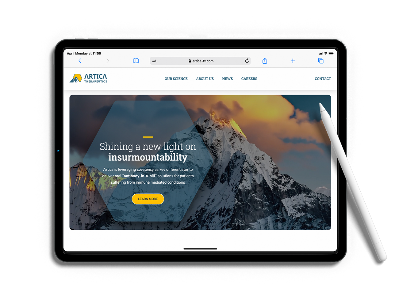 Mockups of the Artica Therapeutics website updates and refinements.