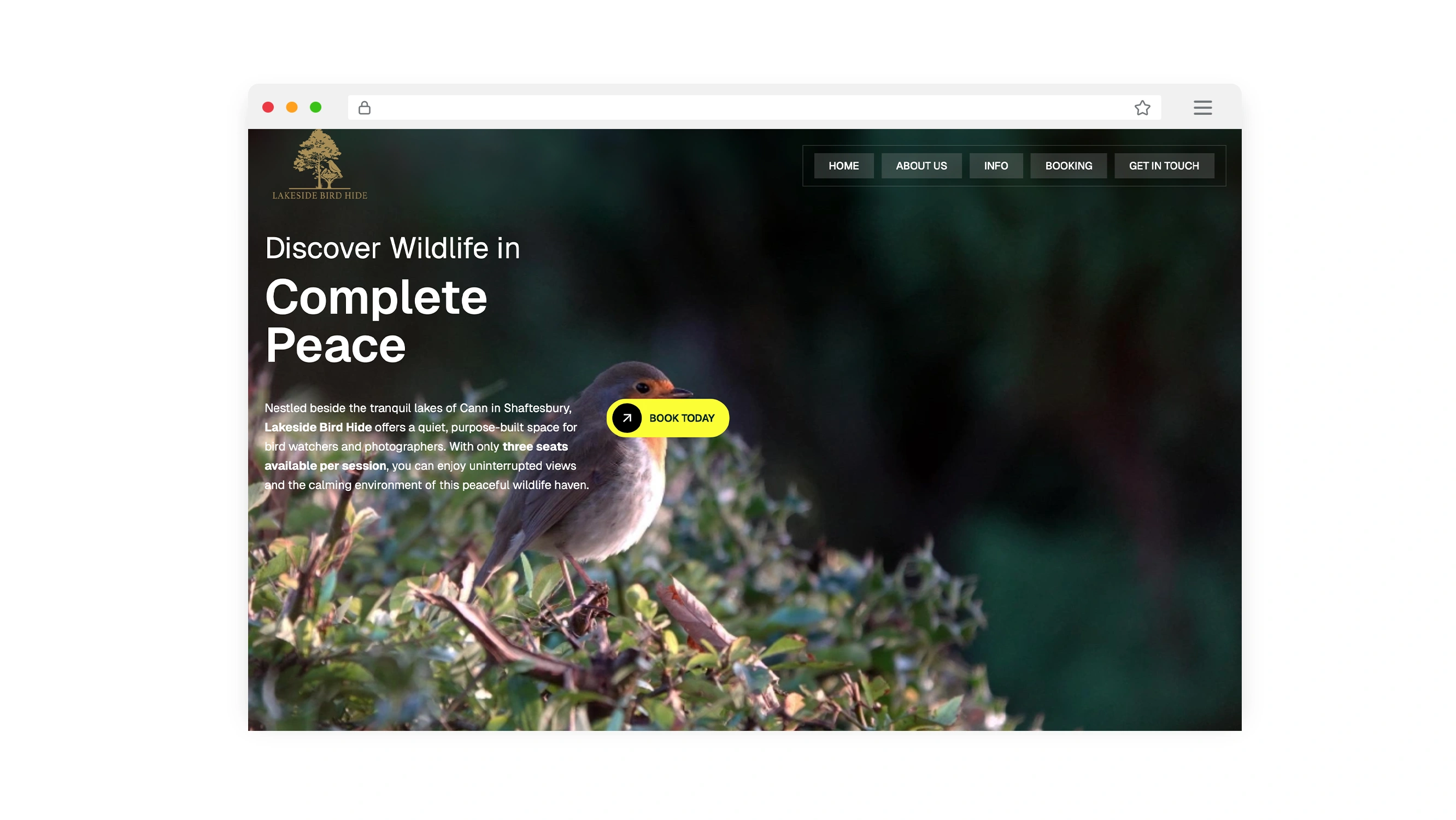 Mockups of the Lakeside Bird Hide website, booking system, and brand identity.