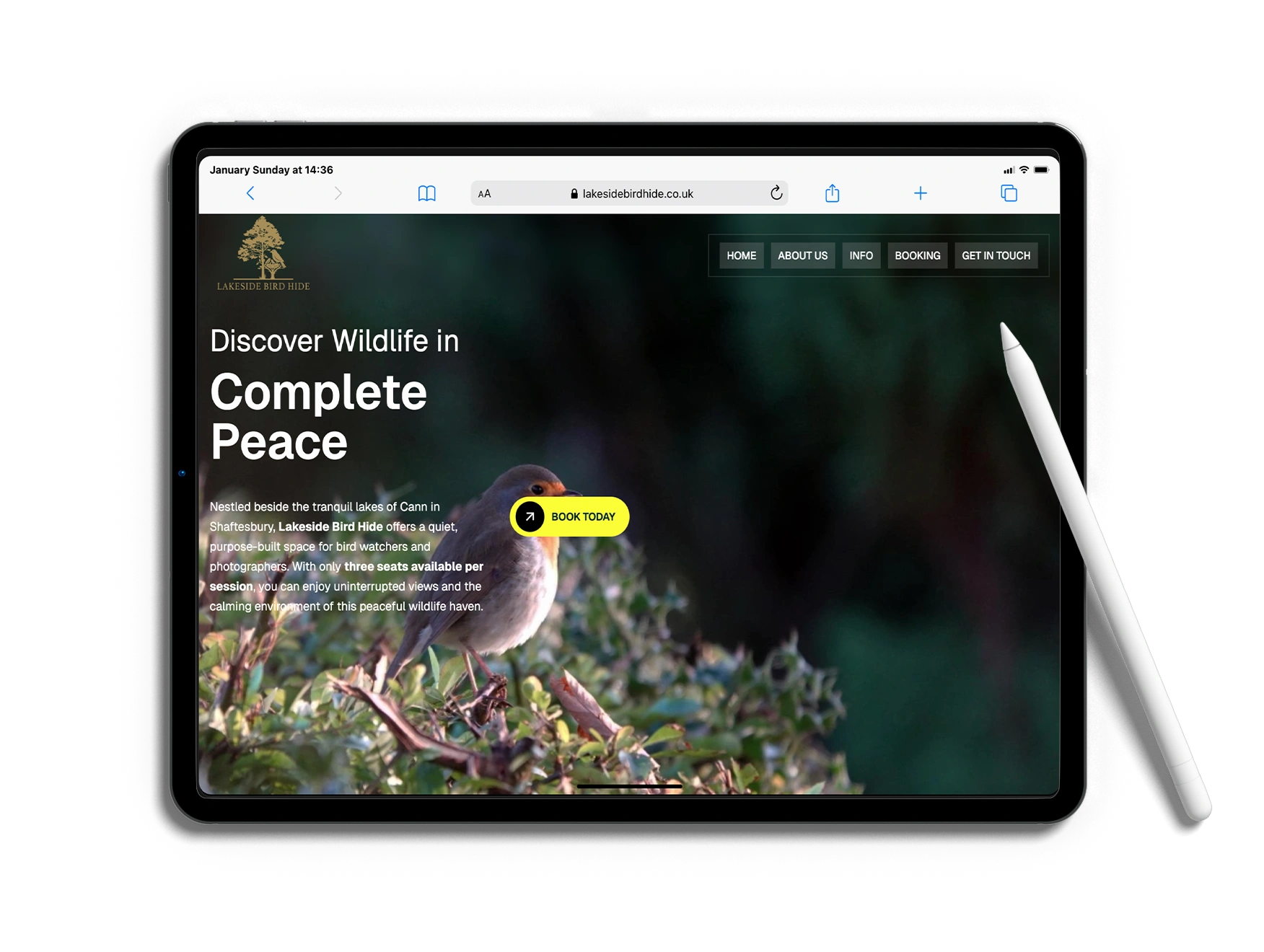 Mockups of the Lakeside Bird Hide website, booking system, and brand identity.