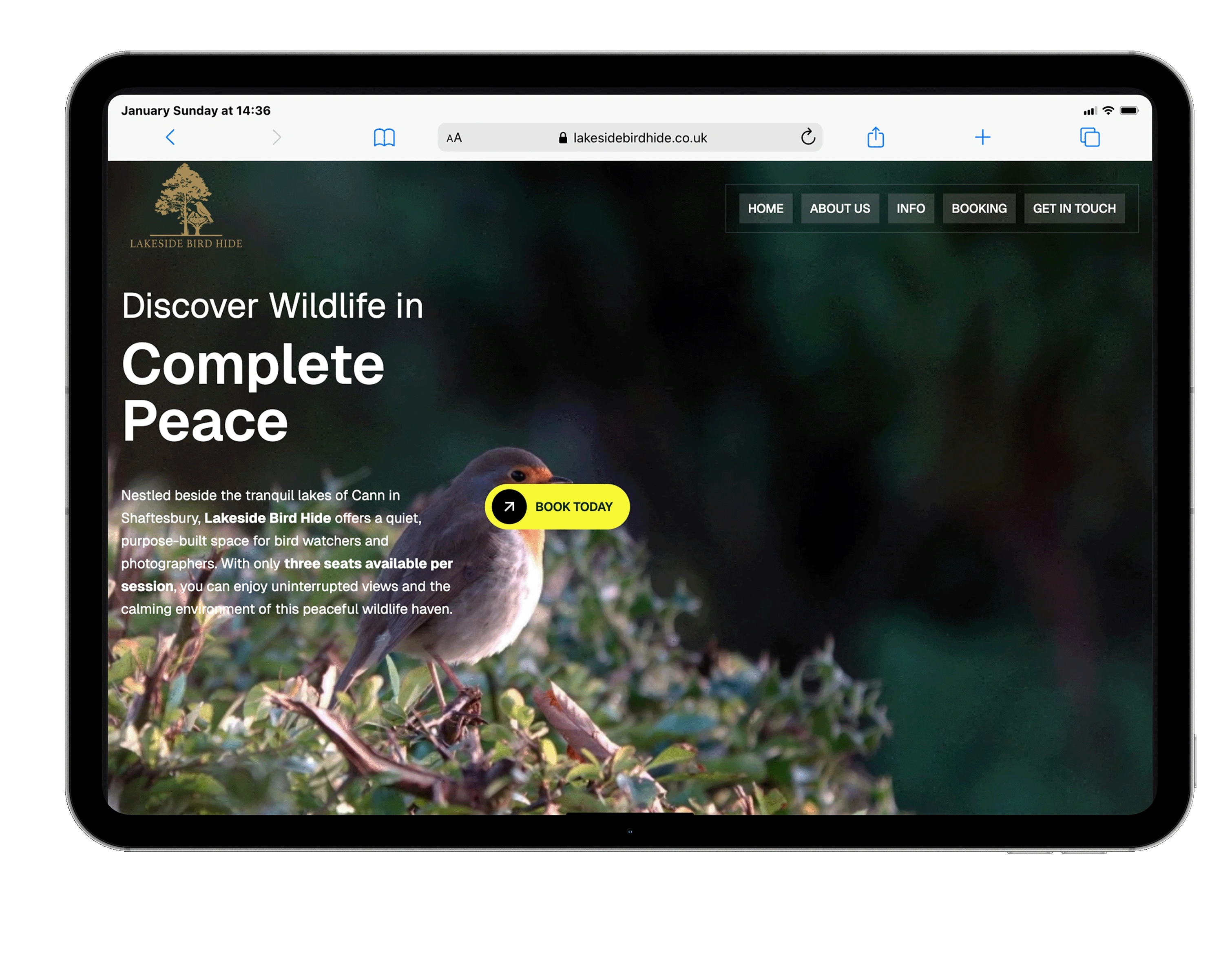 Mockups of the Lakeside Bird Hide website, booking system, and brand identity.