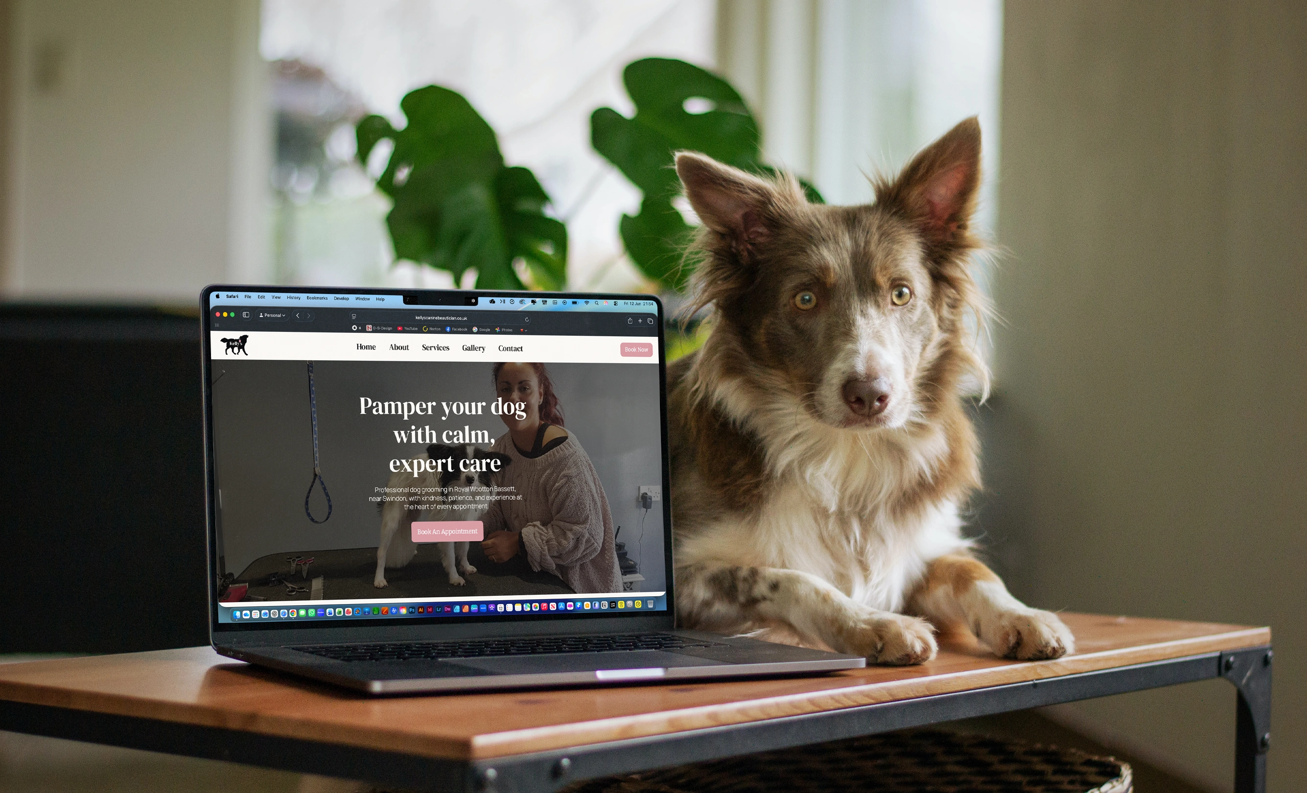 Mockups of the Kelly’s Canine Beautician website and custom logo design.