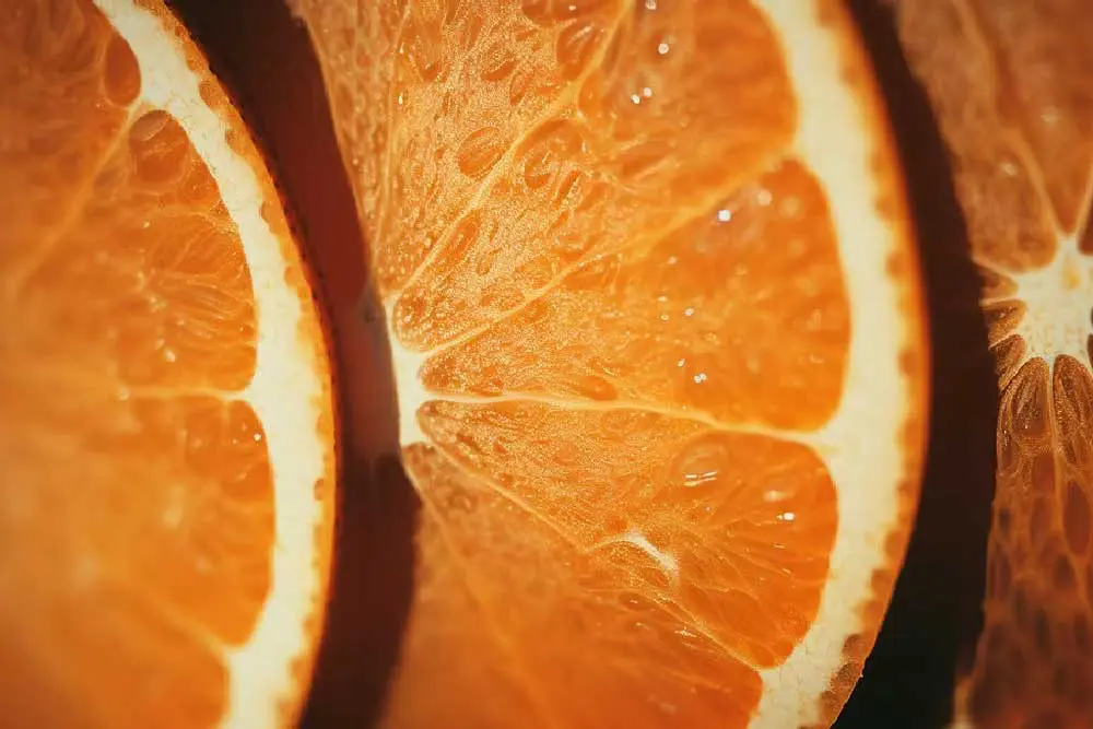 Eine extreme Nahaufnahme von drei nebeneinander liegenden Orangenscheiben, auf denen sich kleine Wassertröpfchen befinden.
