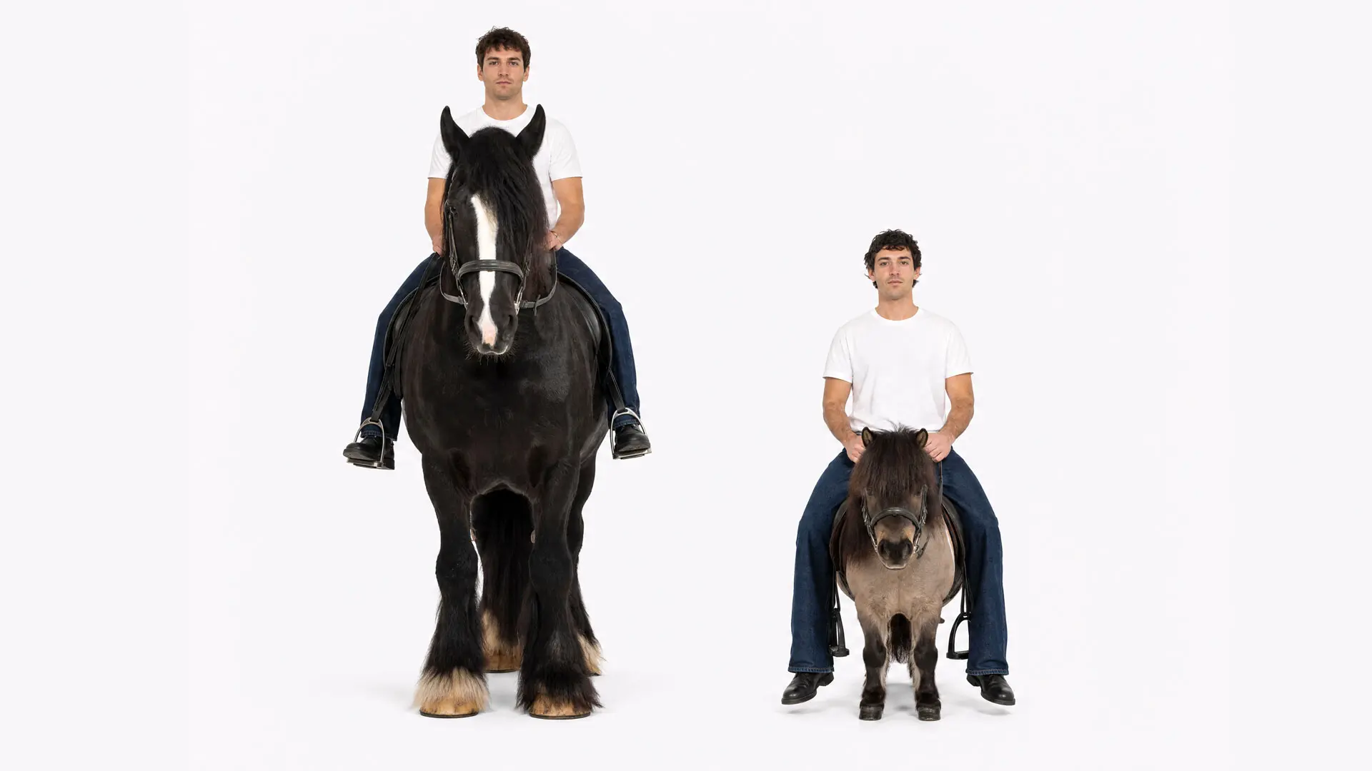 Zwei Männer sitzen vor weissem Hintergrund auf einem grossen und einem kleinen braunen Pferd.