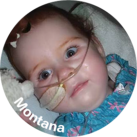 montana-image