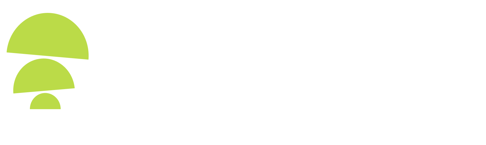 tese.io logo with green abstract geometric shapes to the left of the white text on a black background.