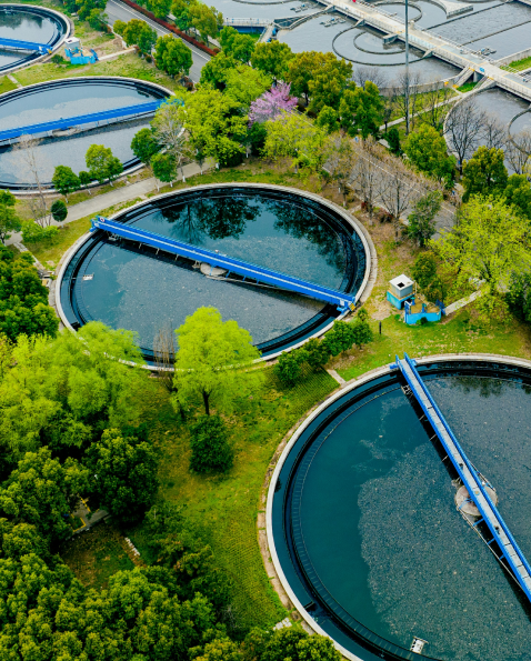 A group of four adults attentively listening in a modern classroom or meeting room with white tables and glass walls.