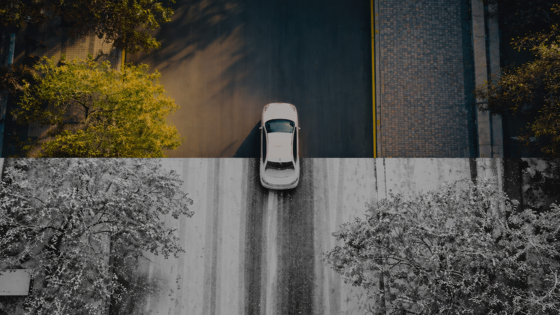 A white car driving on a road with a yellow line on one side and a textured sidewalk on the other, with green leafy trees casting shadows.
