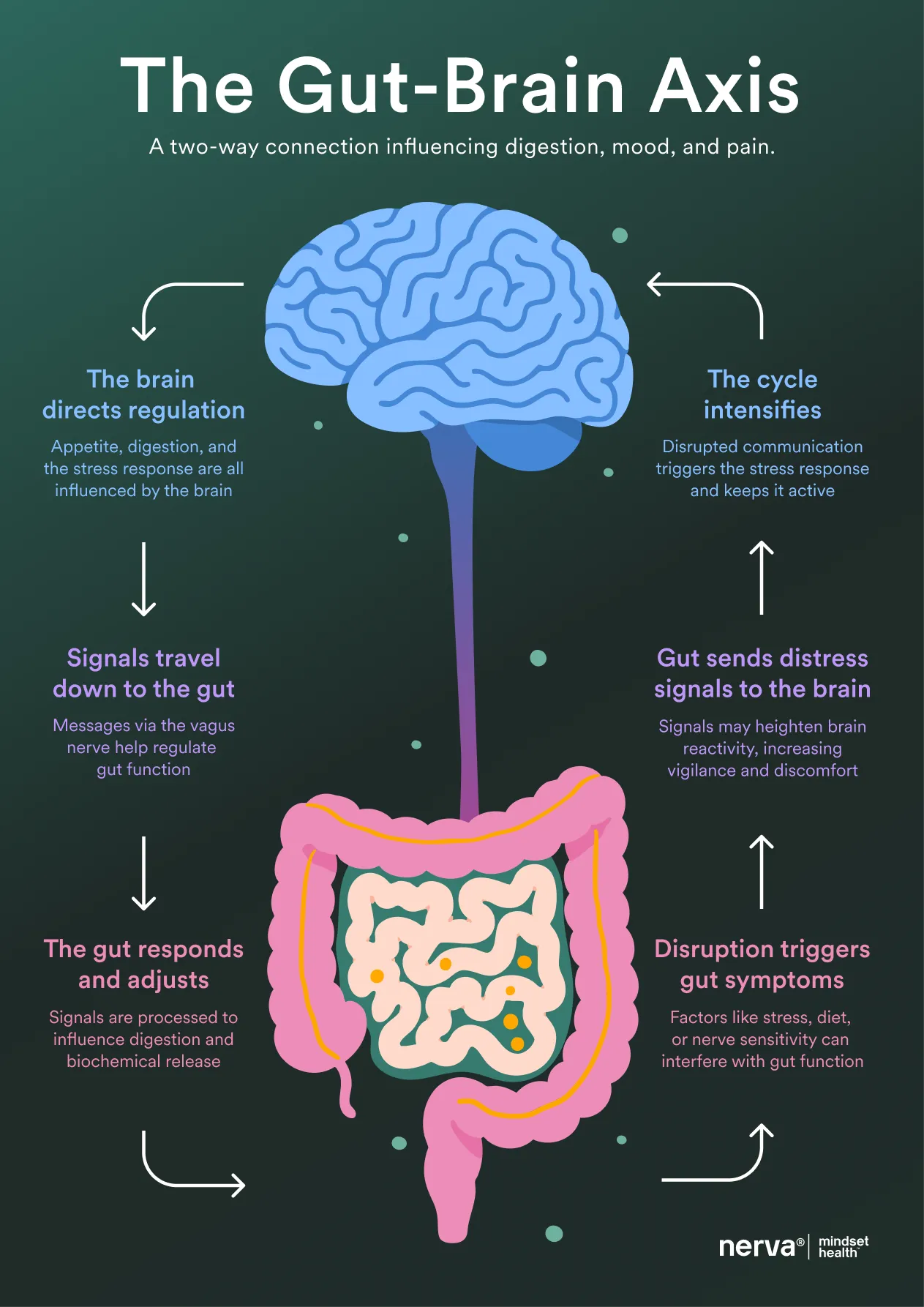 Gut-Brain Poster
