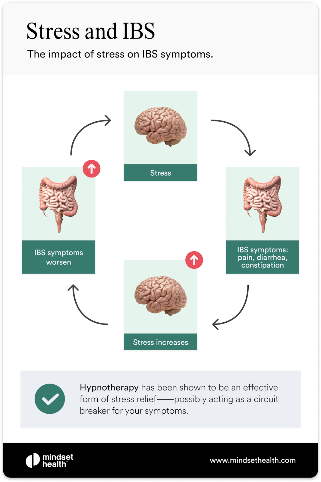 Anxiety and IBS Loop