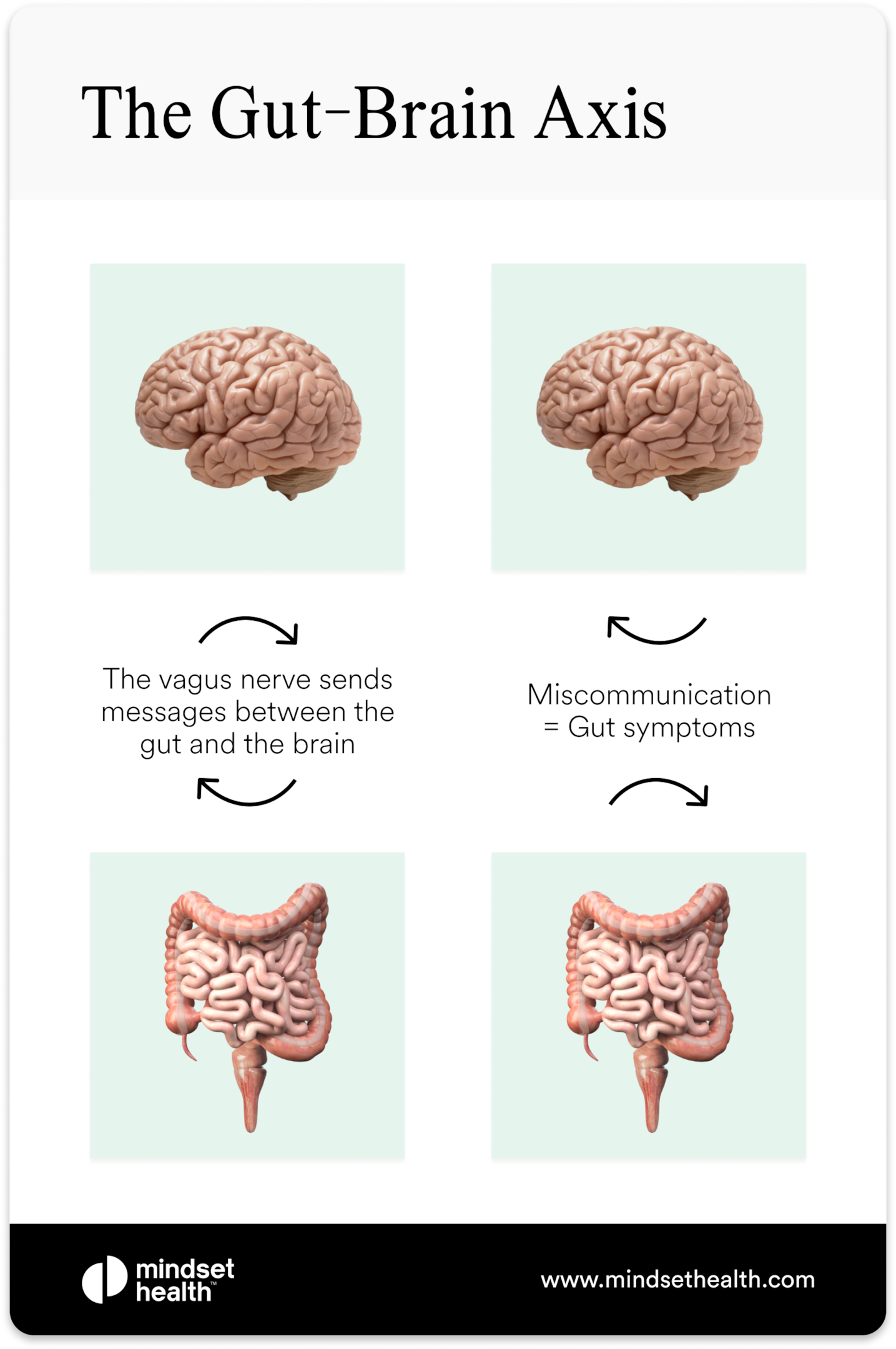 Infographic of the gut-brain axis showing how the vagus nerve sends messages between the brain and gut, and how miscommunication can lead to IBS and gut symptoms.