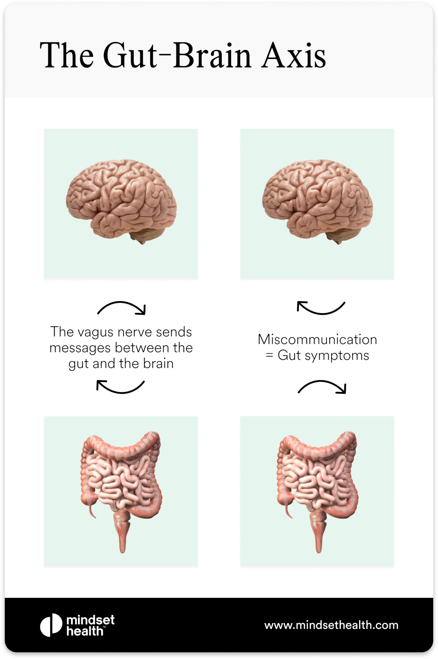 Infographic of the gut-brain axis showing how the vagus nerve sends messages between the brain and gut, and how miscommunication can lead to IBS and gut symptoms.