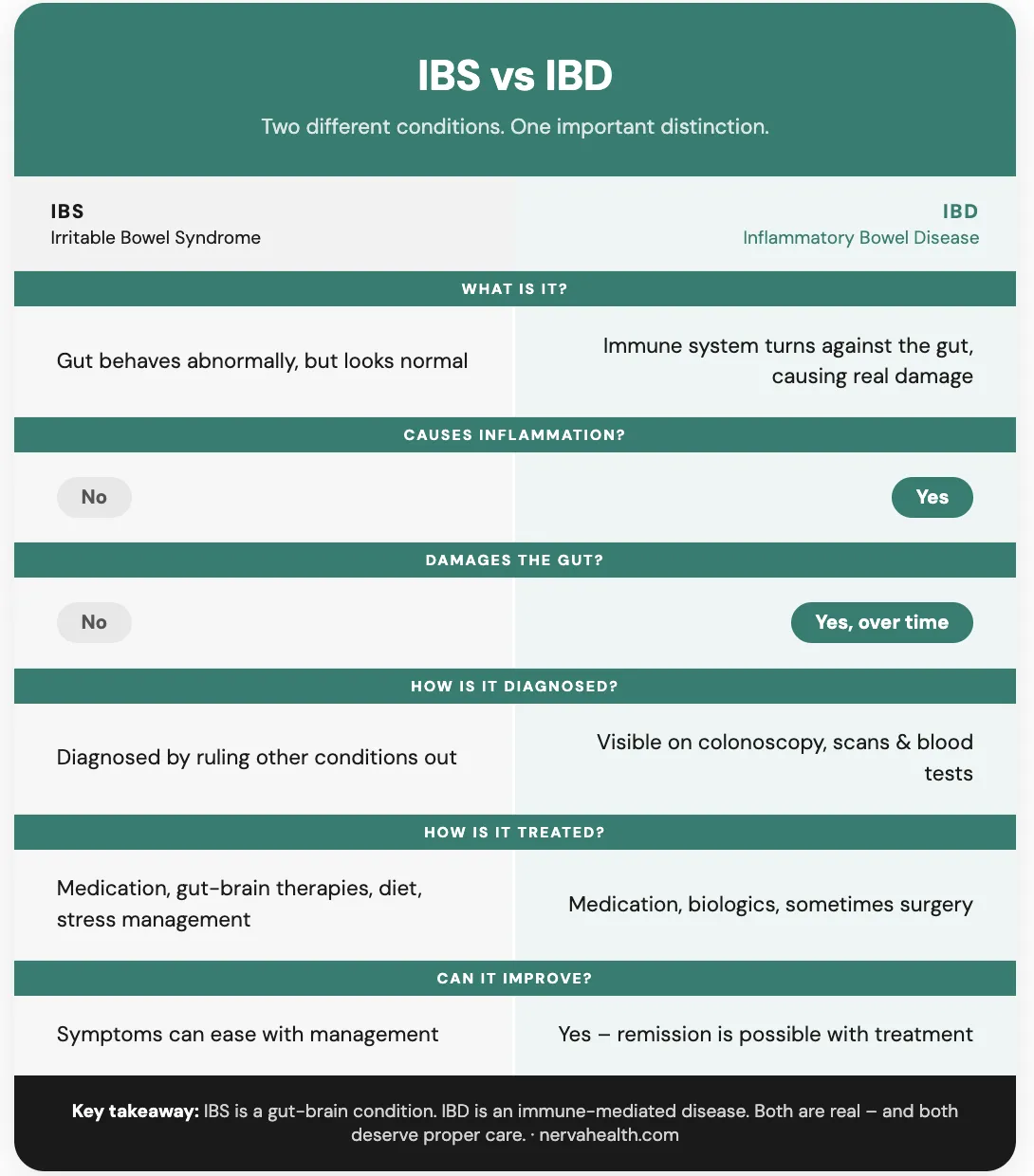IBS vs IBD comparison chart — IBS is a gut-brain condition with no inflammation; IBD is an immune-mediated disease causing inflammation and gut damage, diagnosed via colonoscopy and treated with biologics or surgery.