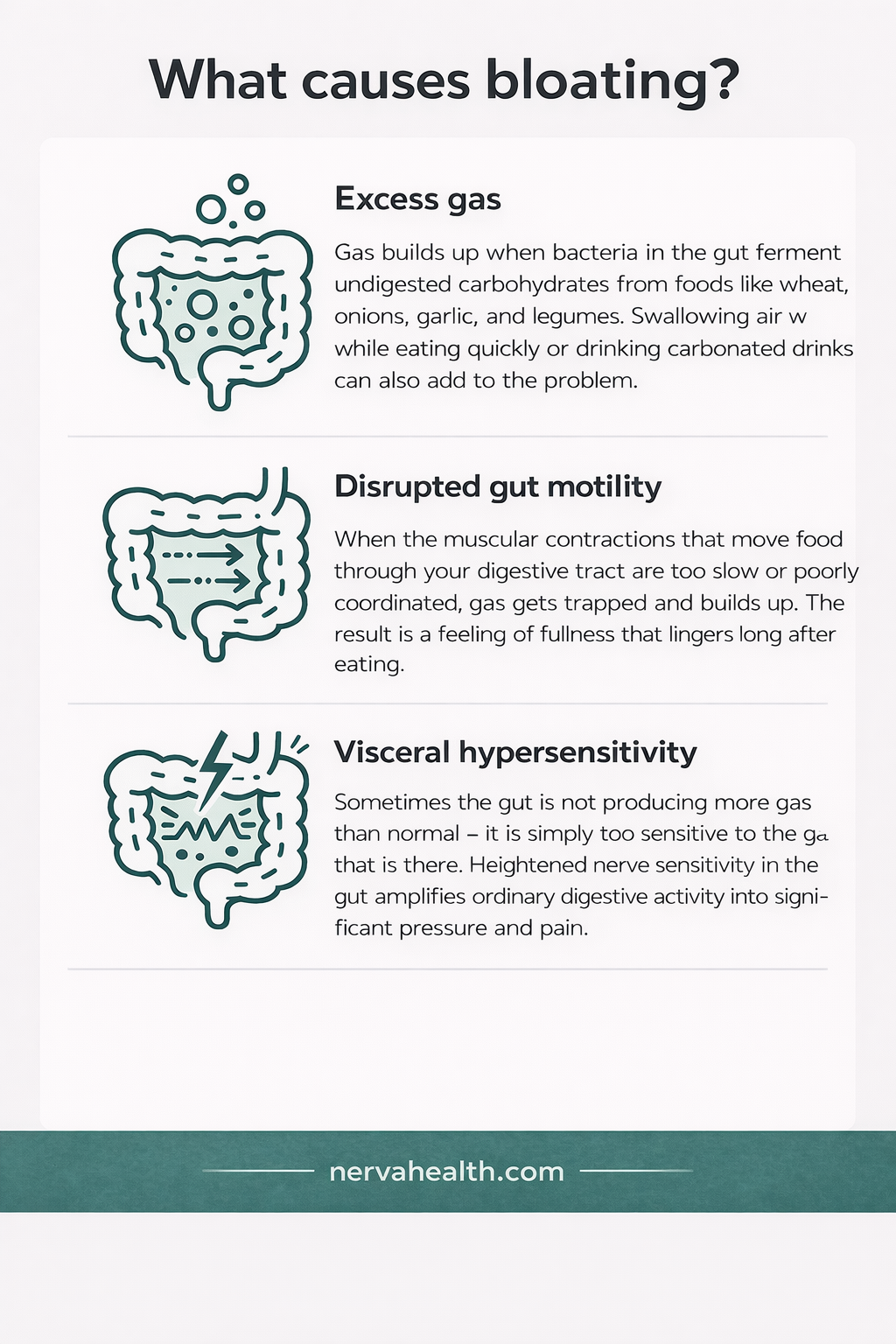 Infographic on what causes bloating – excess gas from gut bacteria fermentation, slow gut motility, and visceral hypersensitivity leading to pressure and pain