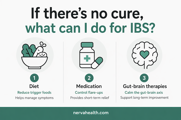 What can I do for IBS if there is no cure – diet, medication, and gut-brain therapy options explained