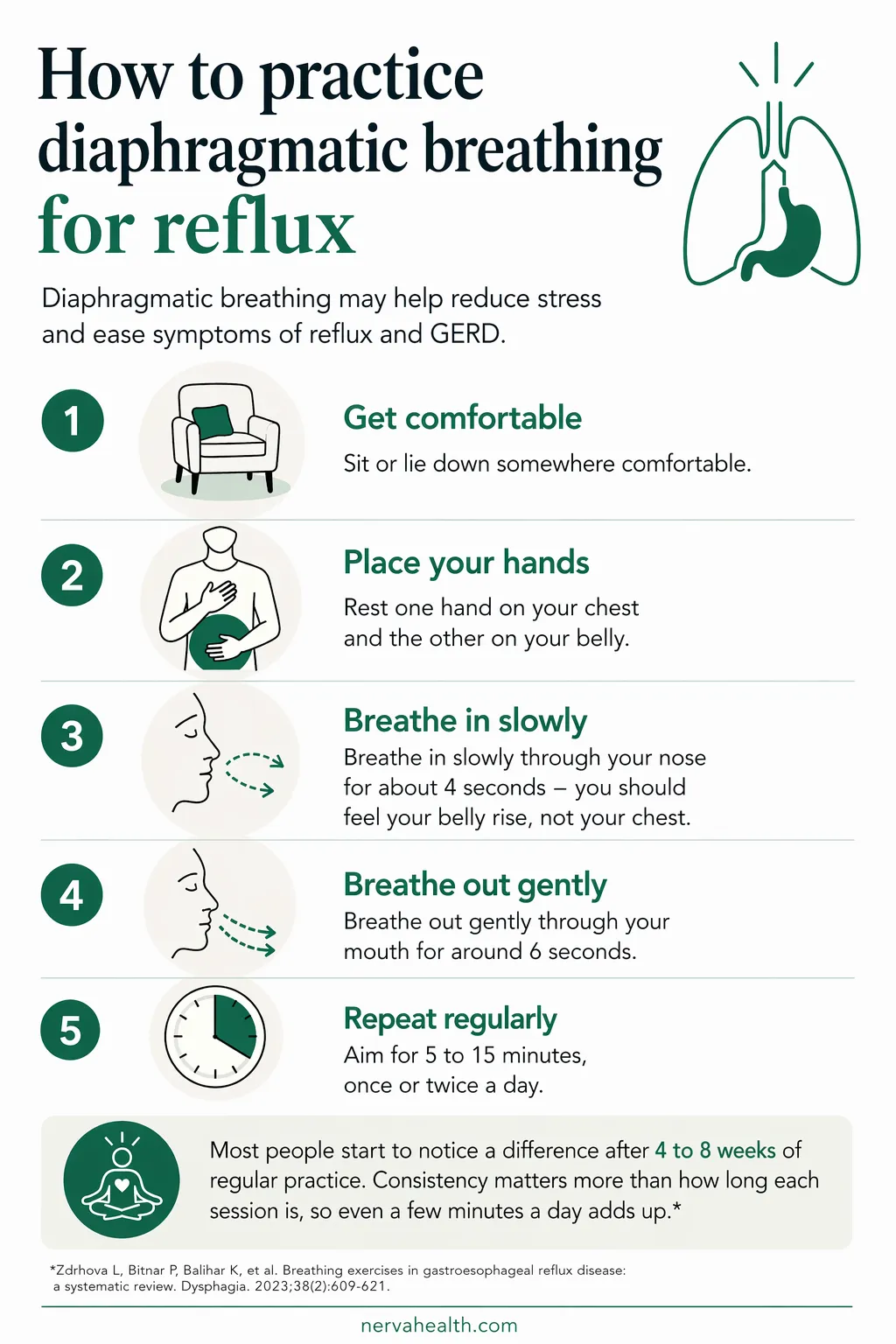 Step-by-step diaphragmatic breathing exercise for GERD relief, illustrating how to breathe correctly to reduce reflux symptoms, with guidance on timing, technique, and expected results over 4 to 8 weeks.
