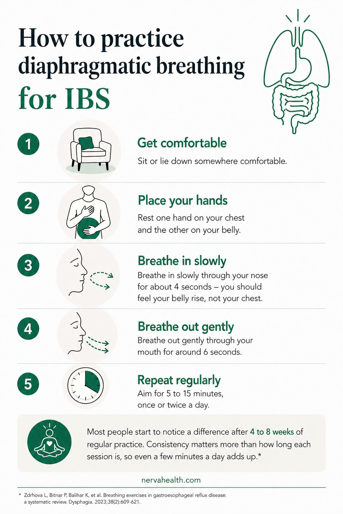 Infographic demonstrating diaphragmatic breathing for IBS relief, with five steps showing posture, hand placement, slow nasal breathing, gentle exhalation, and daily practice recommendations