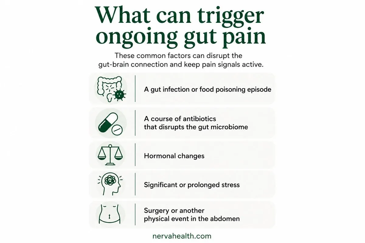 Infographic showing common triggers of ongoing gut pain, including gut infection, antibiotics disrupting the microbiome, hormonal changes, chronic stress, and abdominal surgery, and how these affect the gut-brain connection.