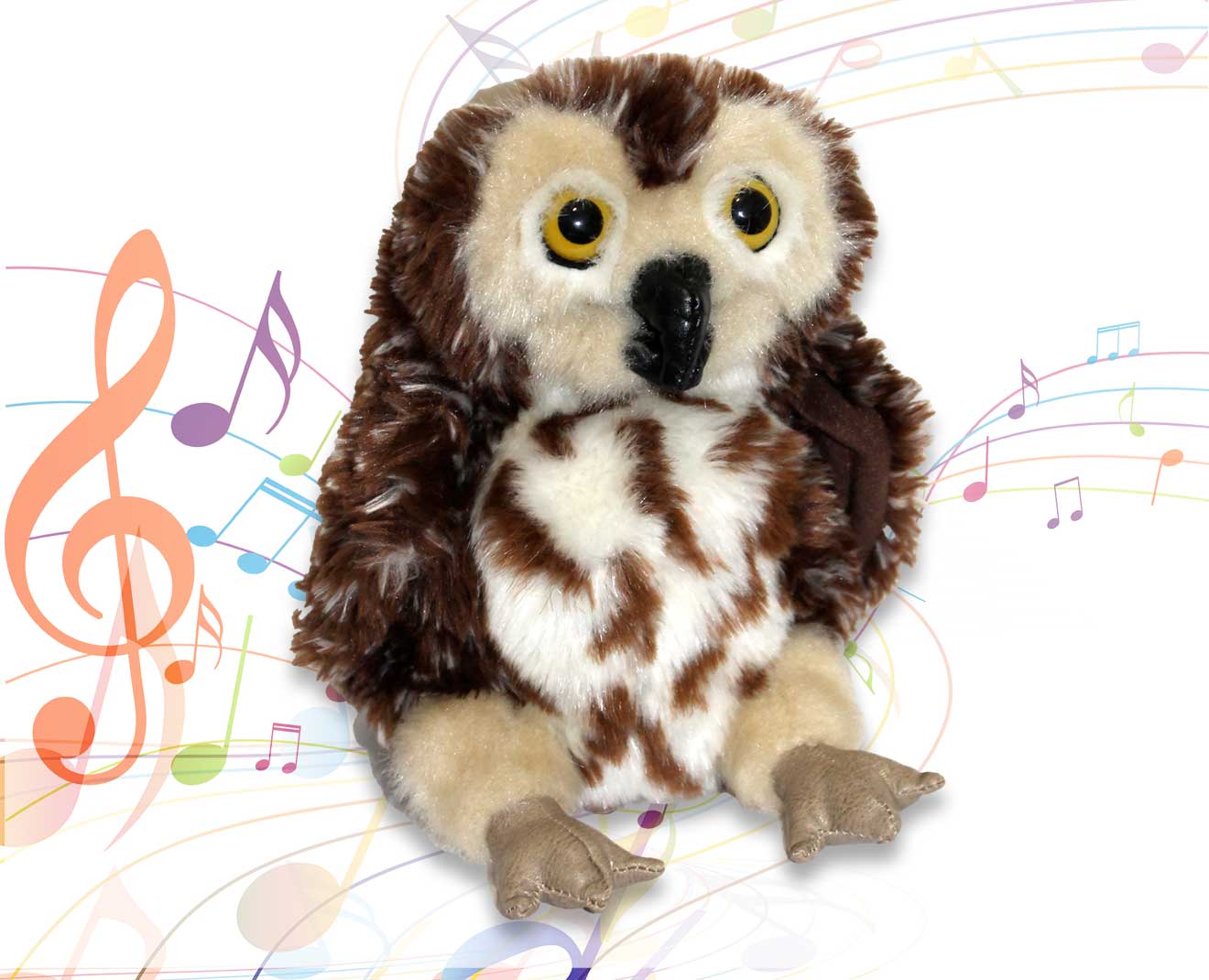 Boobook the Owl from 'Not Just Noise' panto