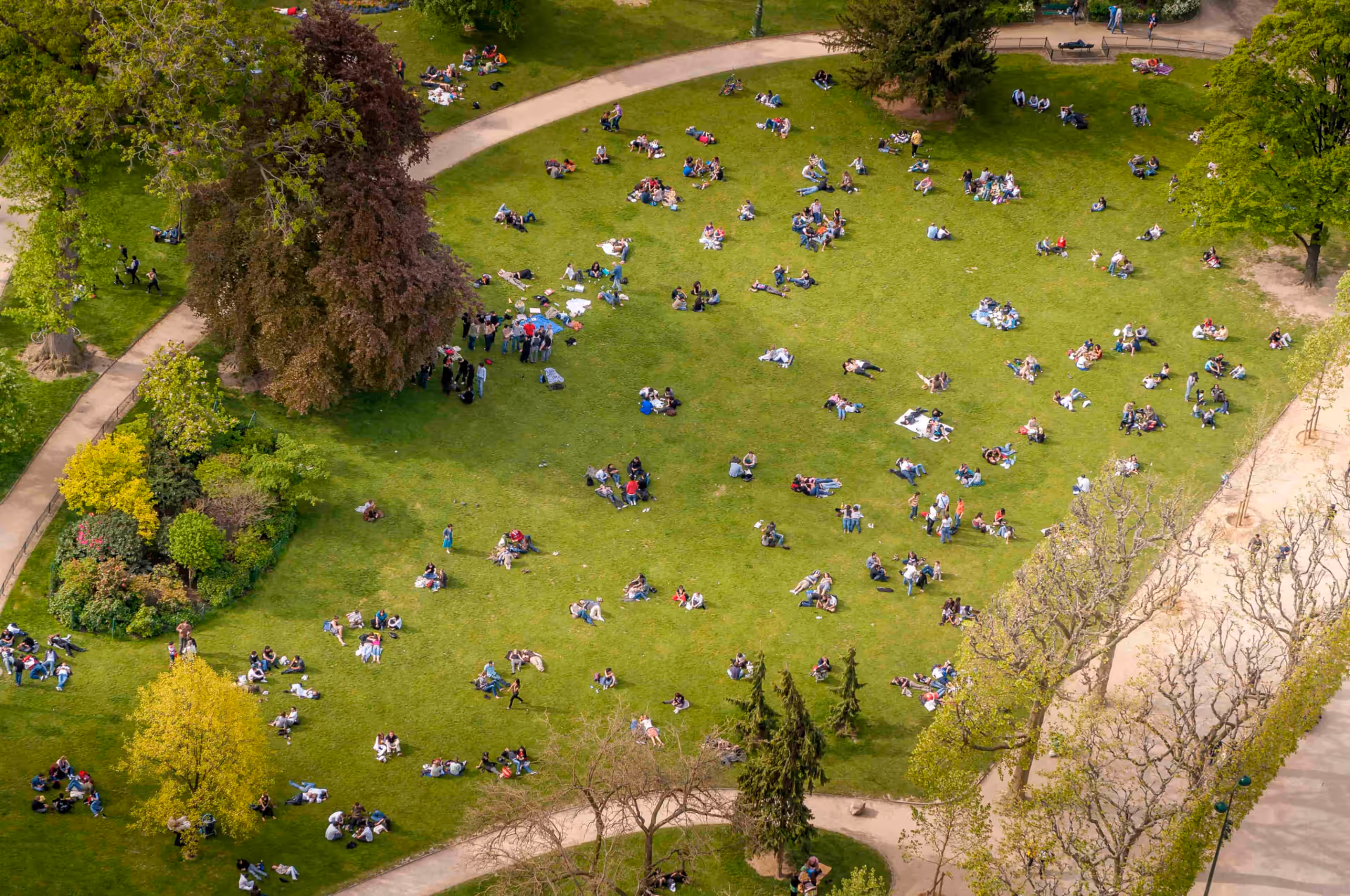 Aerial view of people enjoying a public park