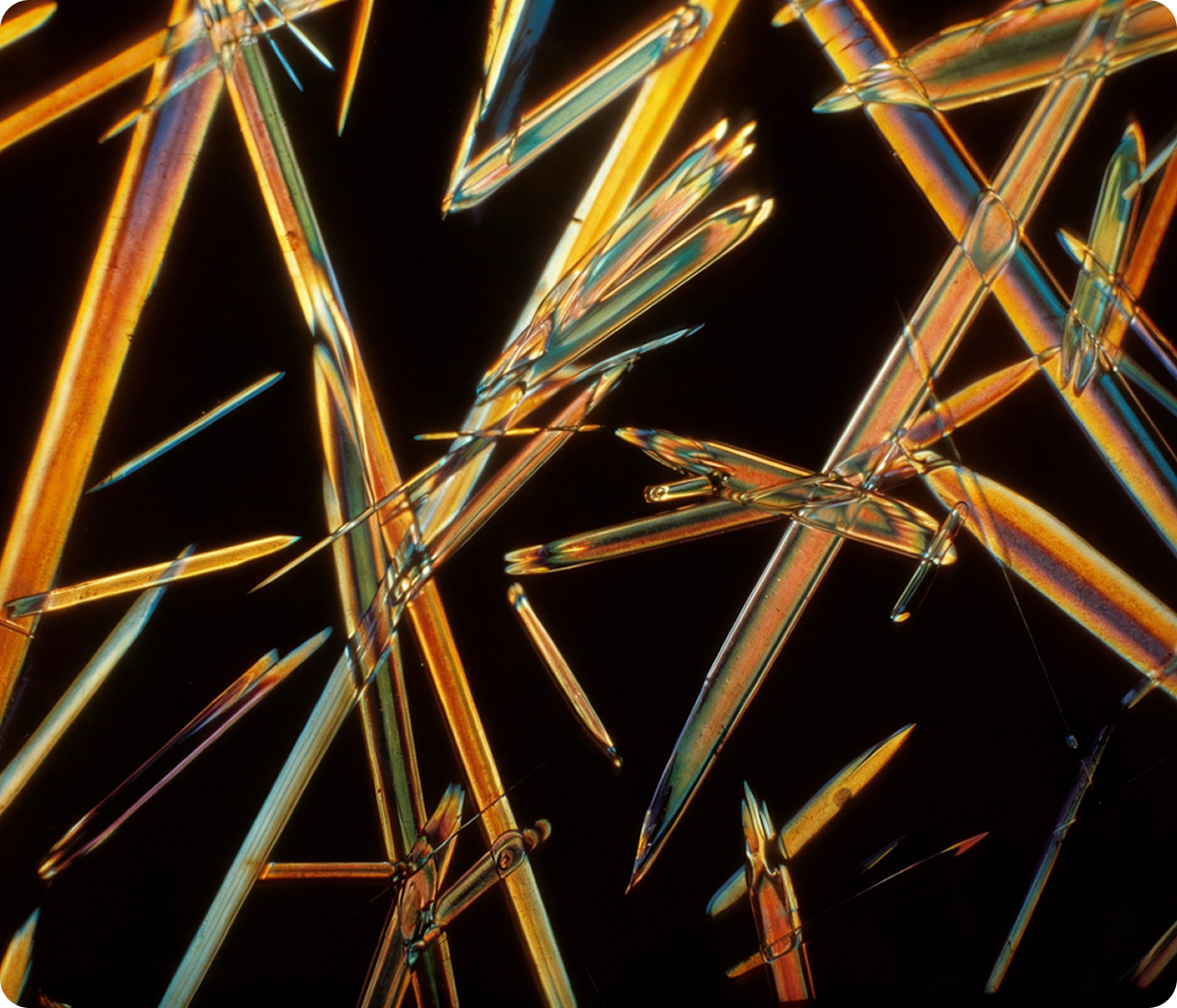 Kit Ainoha™  et aperçu des résultats sanguins affichés dans l’application.