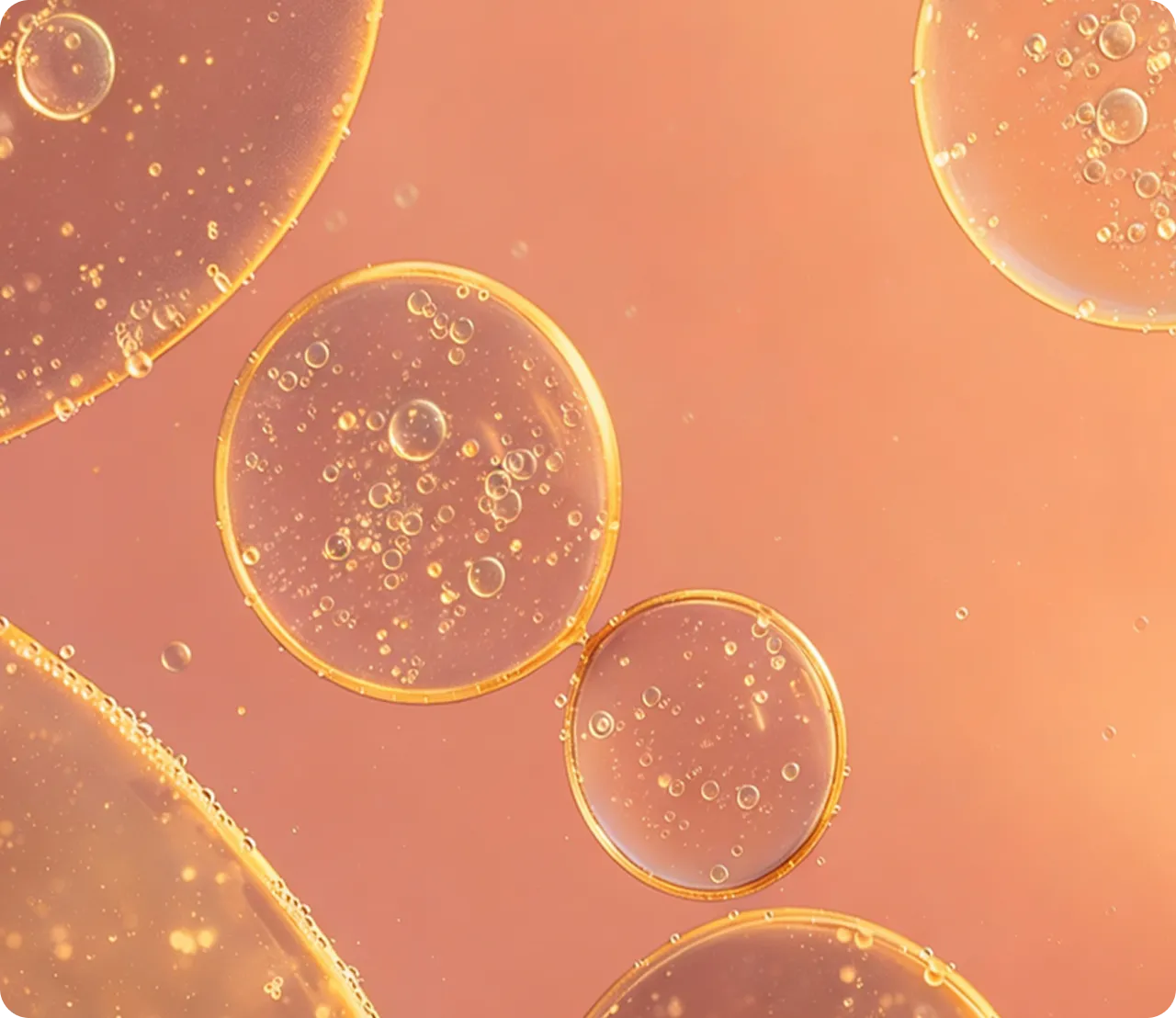 Interface Ainoha montrant le scan vidéo et le suivi des symptômes quotidiens.