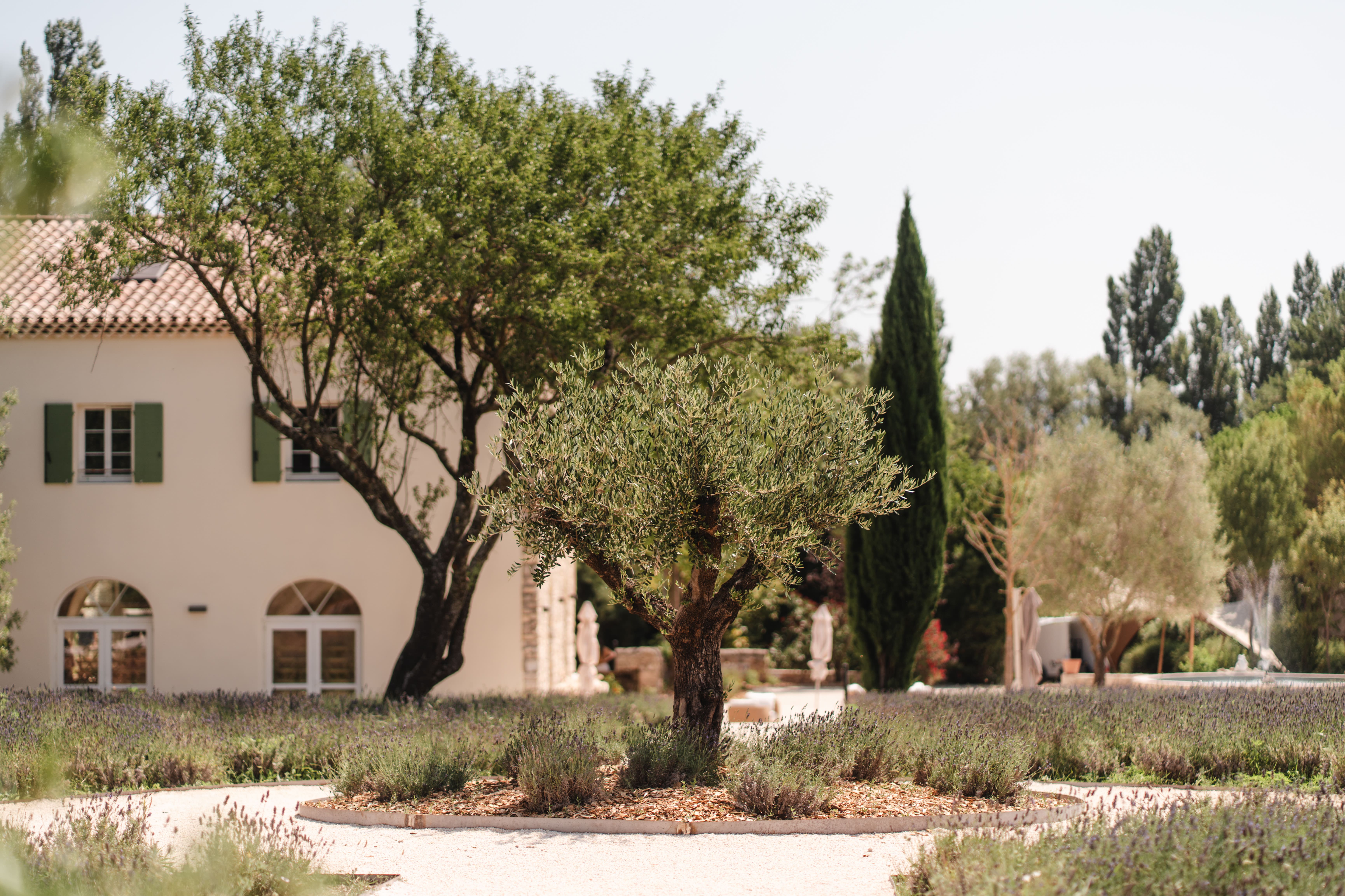 Domaine de la Vivande