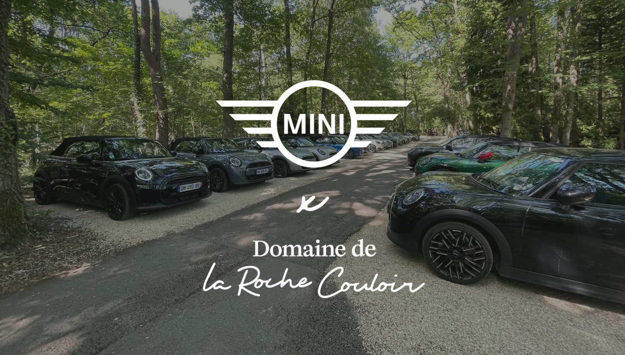 Domaine de La Roche Couloir