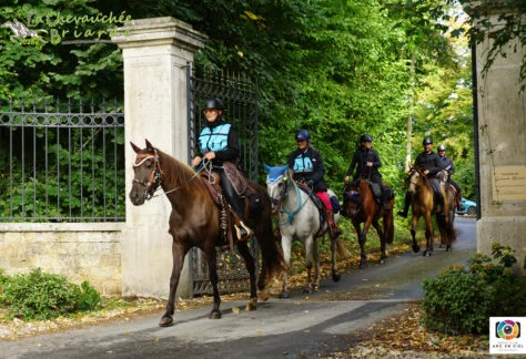 La Chevauchée Briarde 2025
