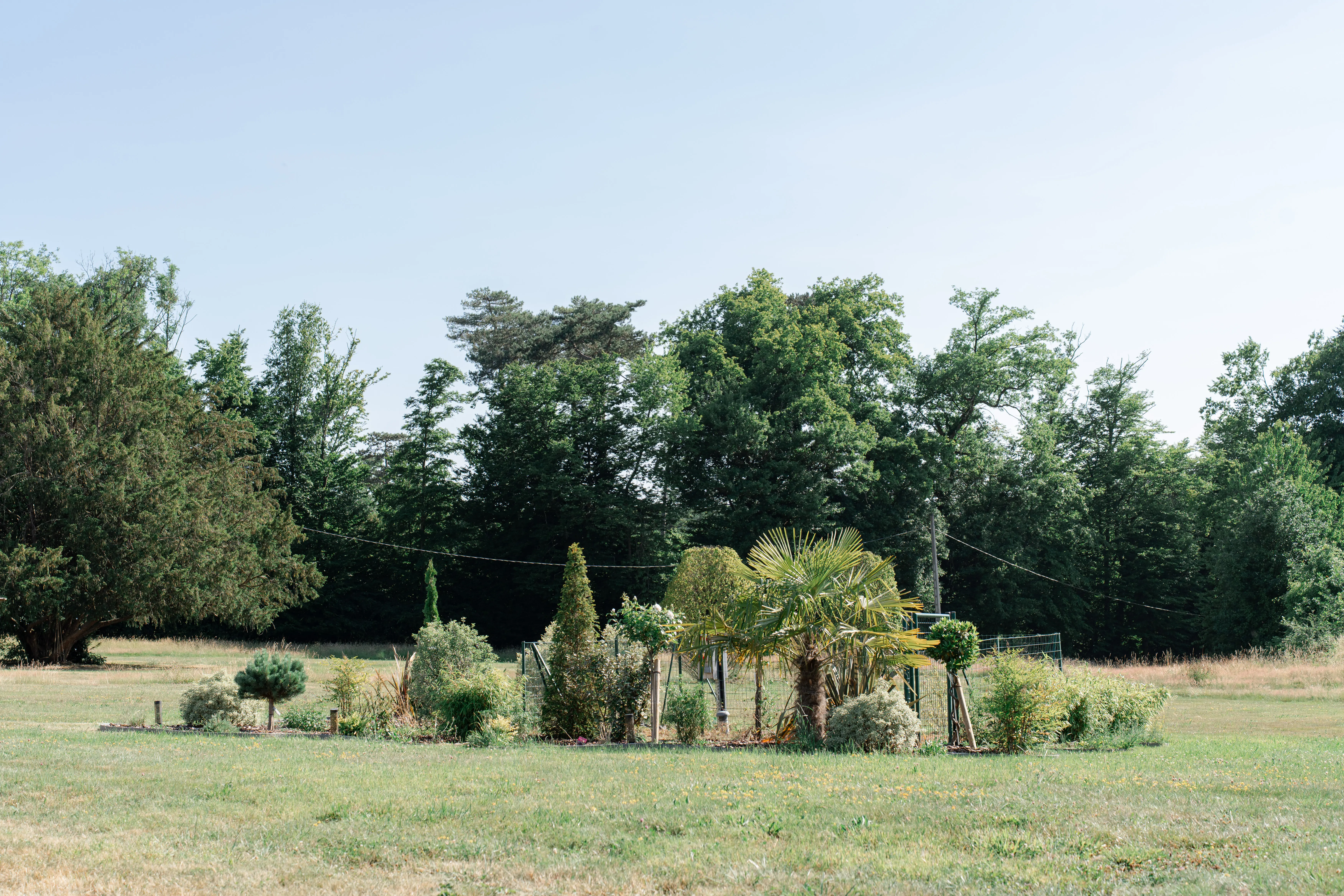 Arbres au Domaine du Grand Morin
