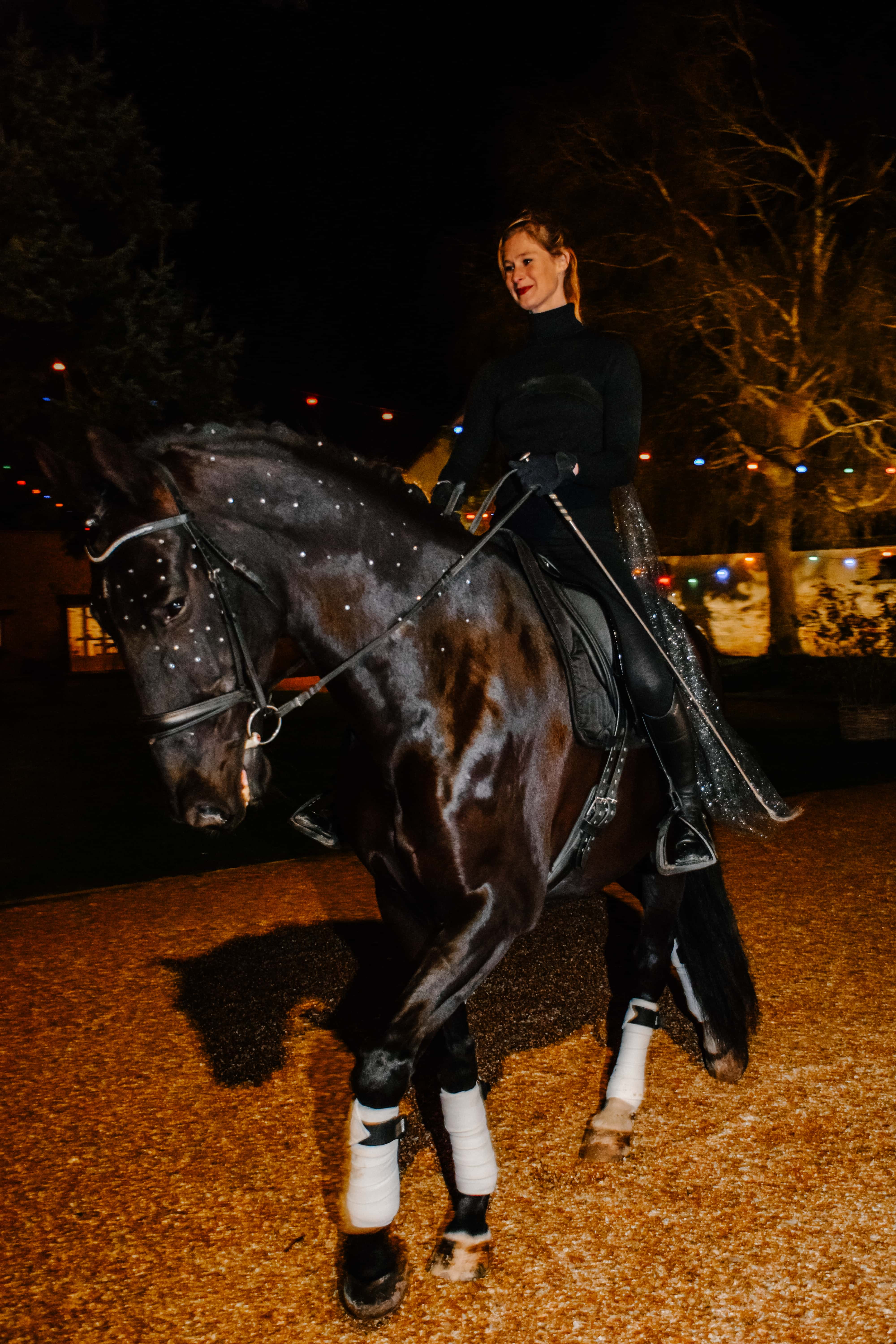 Winter Party 2026 au Domaine de la Thibaudière