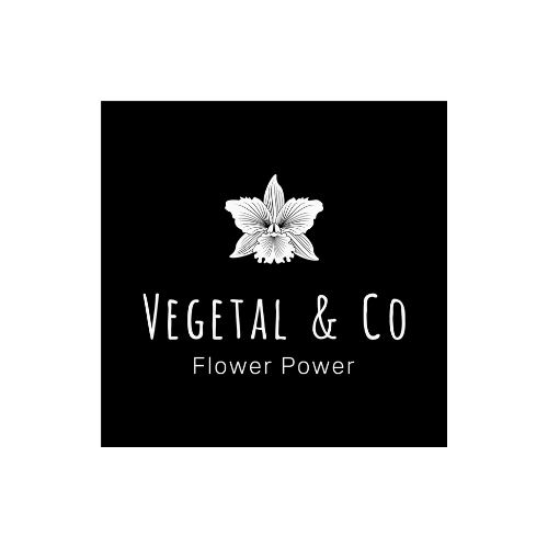 Client logos