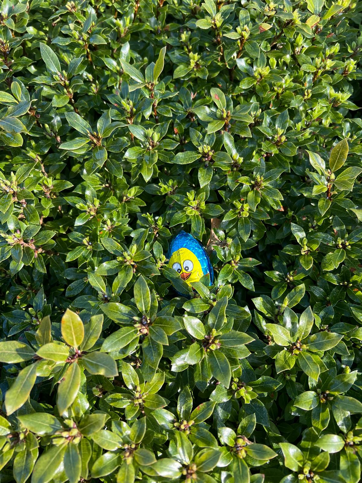 Chasse aux œufs de Pâques au Domaine d'Aveny
