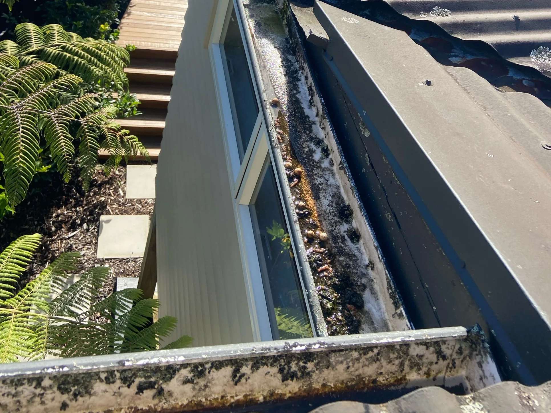Old gutter full of debris before replacement in Hillcrest