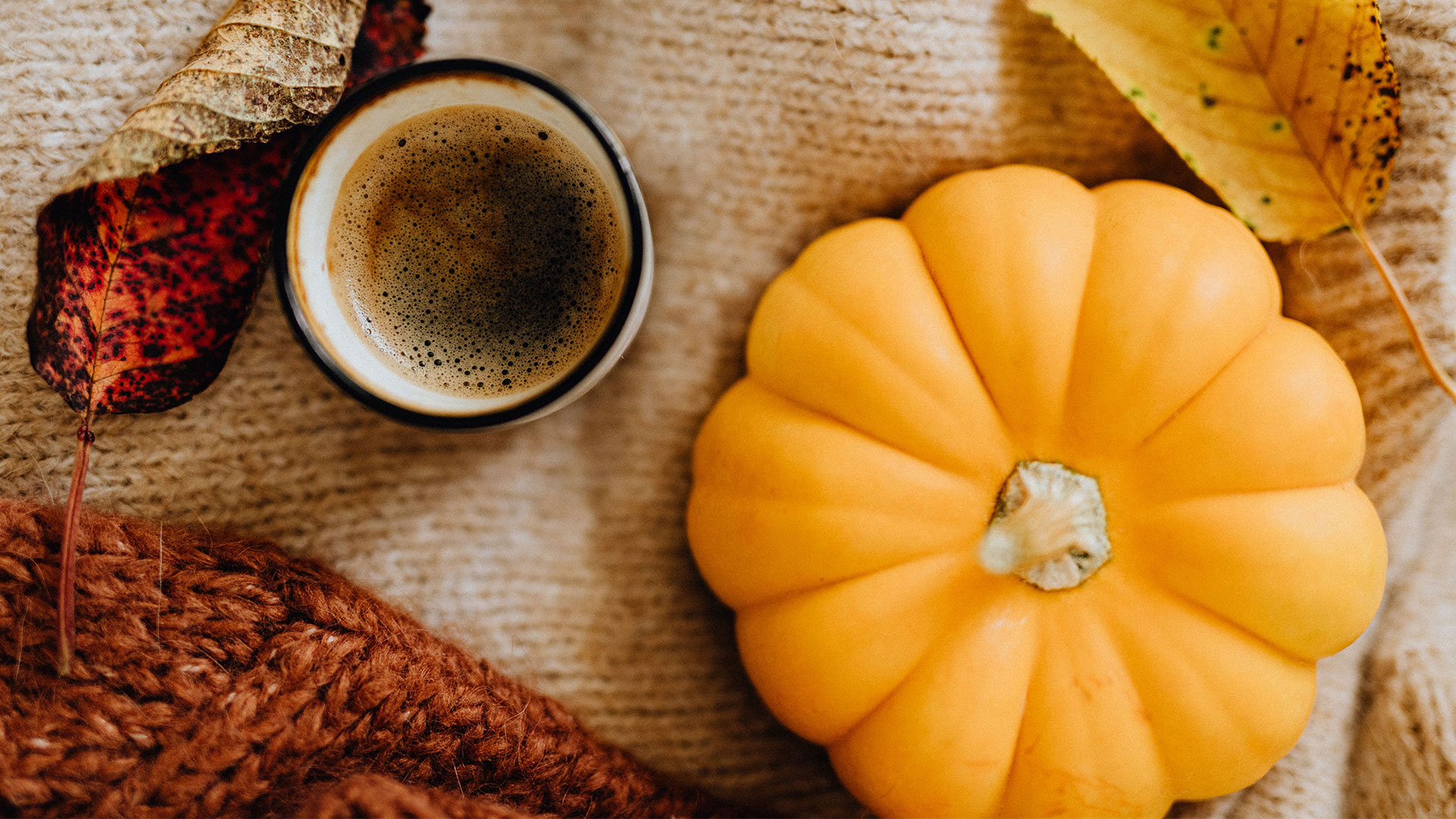 Unsere Peelings im Oktober