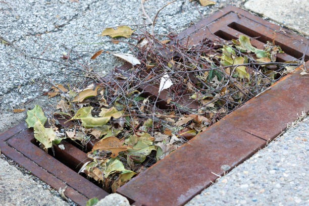 Professional Solutions for Hair and Soap Clogged Drains in Crandall